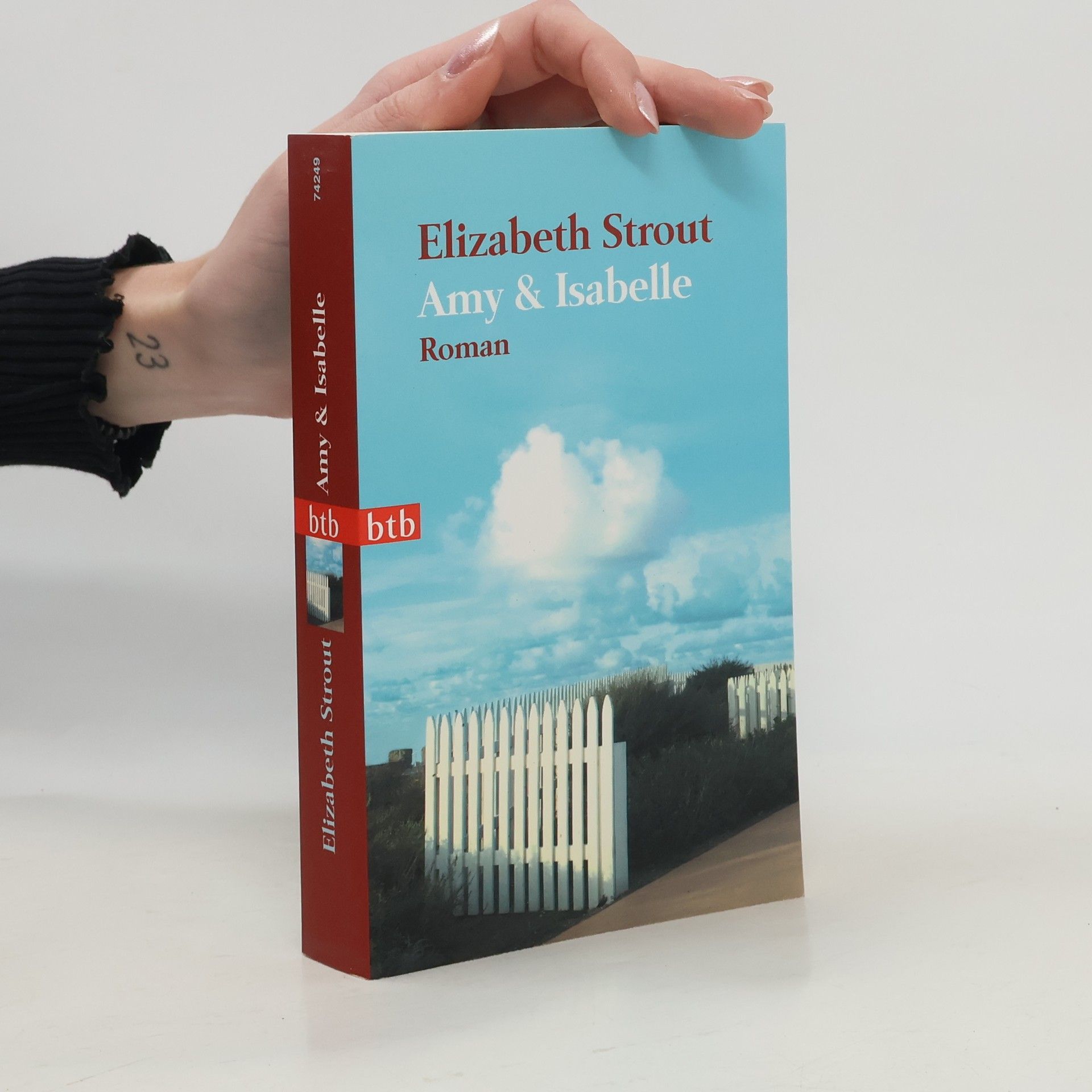 Elizabeth Strout Amy & Isabelle