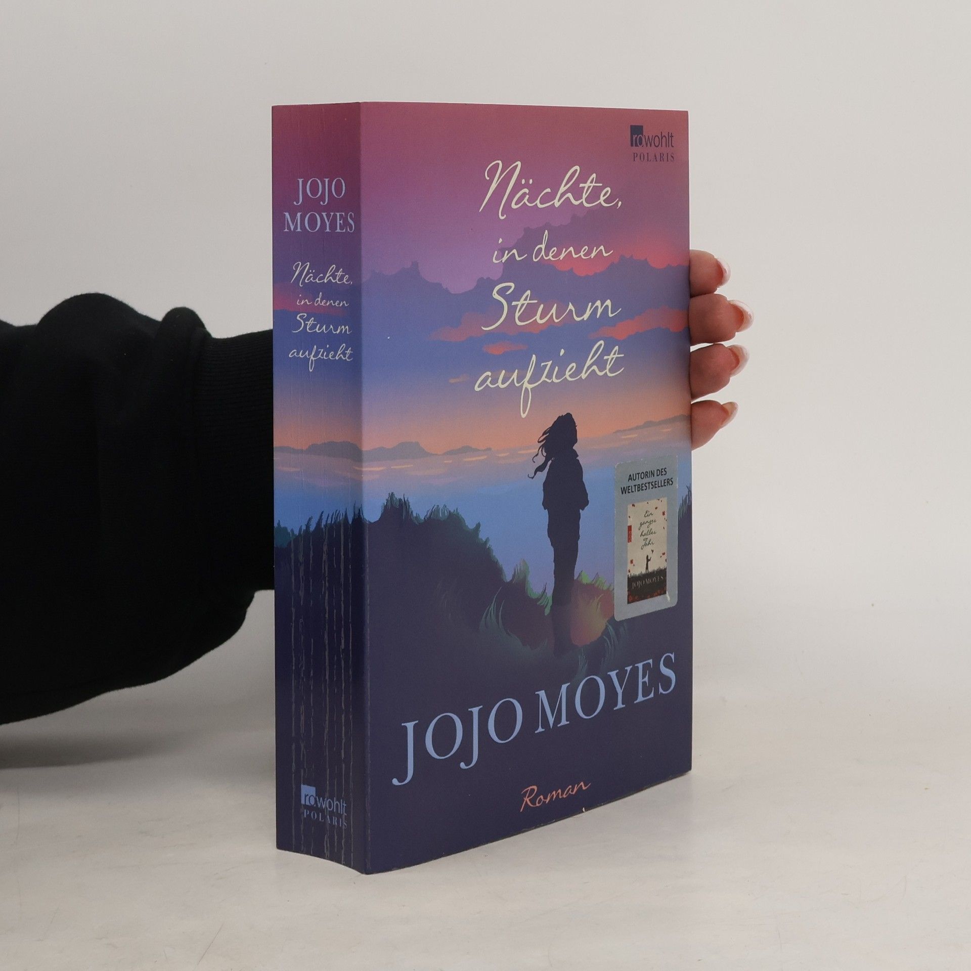 Jojo Moyes Nächte in denen Sturm aufzieht