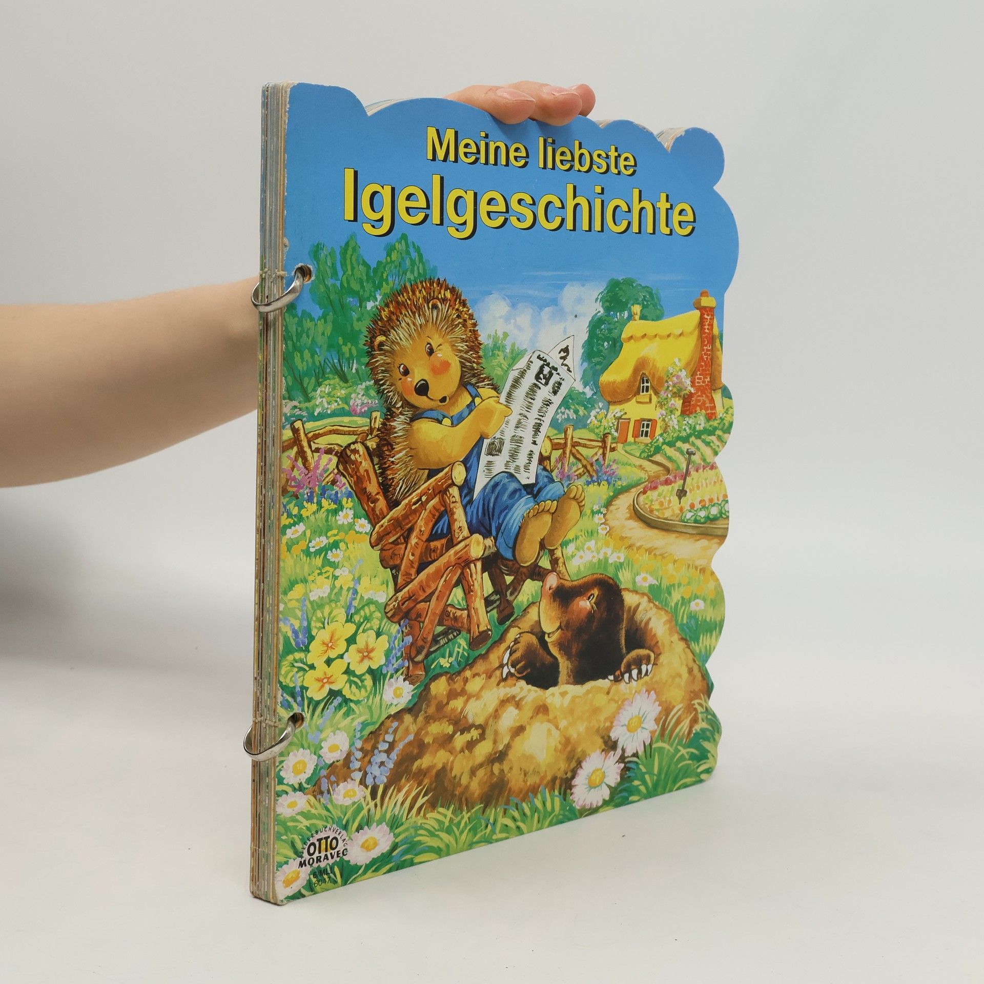 Various authors Meine liebste Igelgeschichte