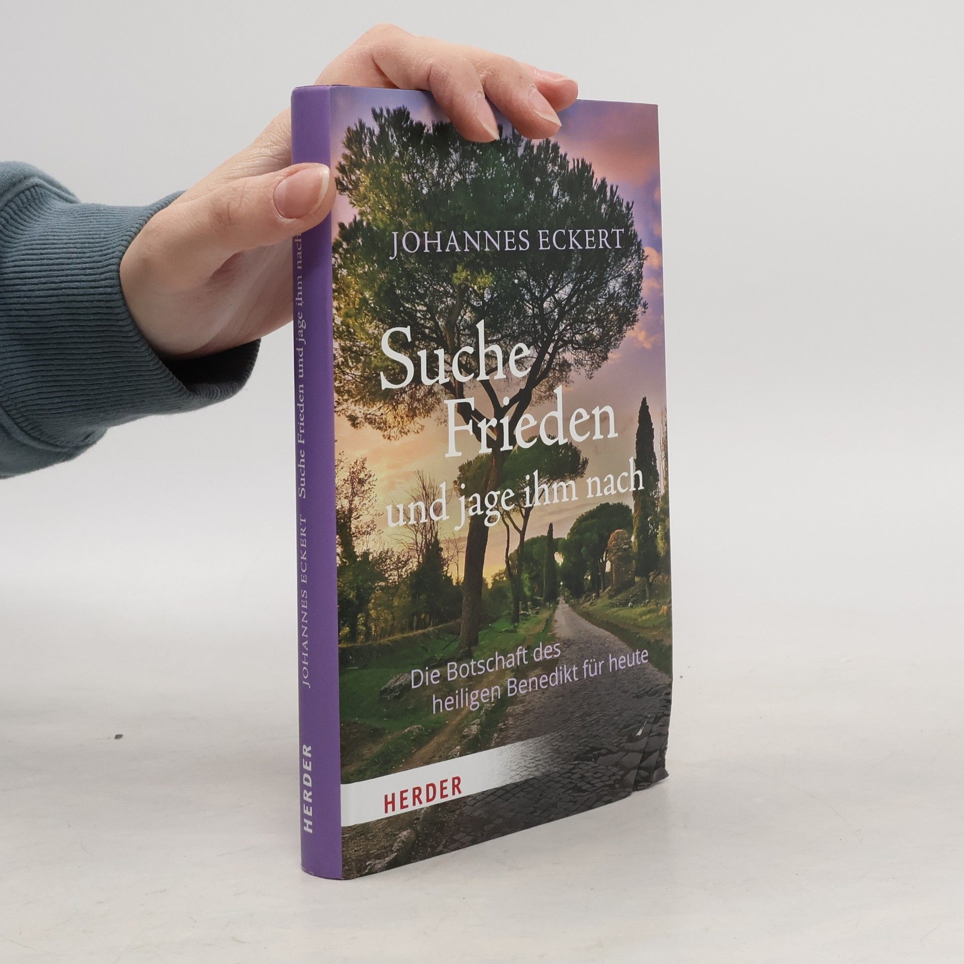 Johannes Eckert Suche Frieden und jage ihm nach
