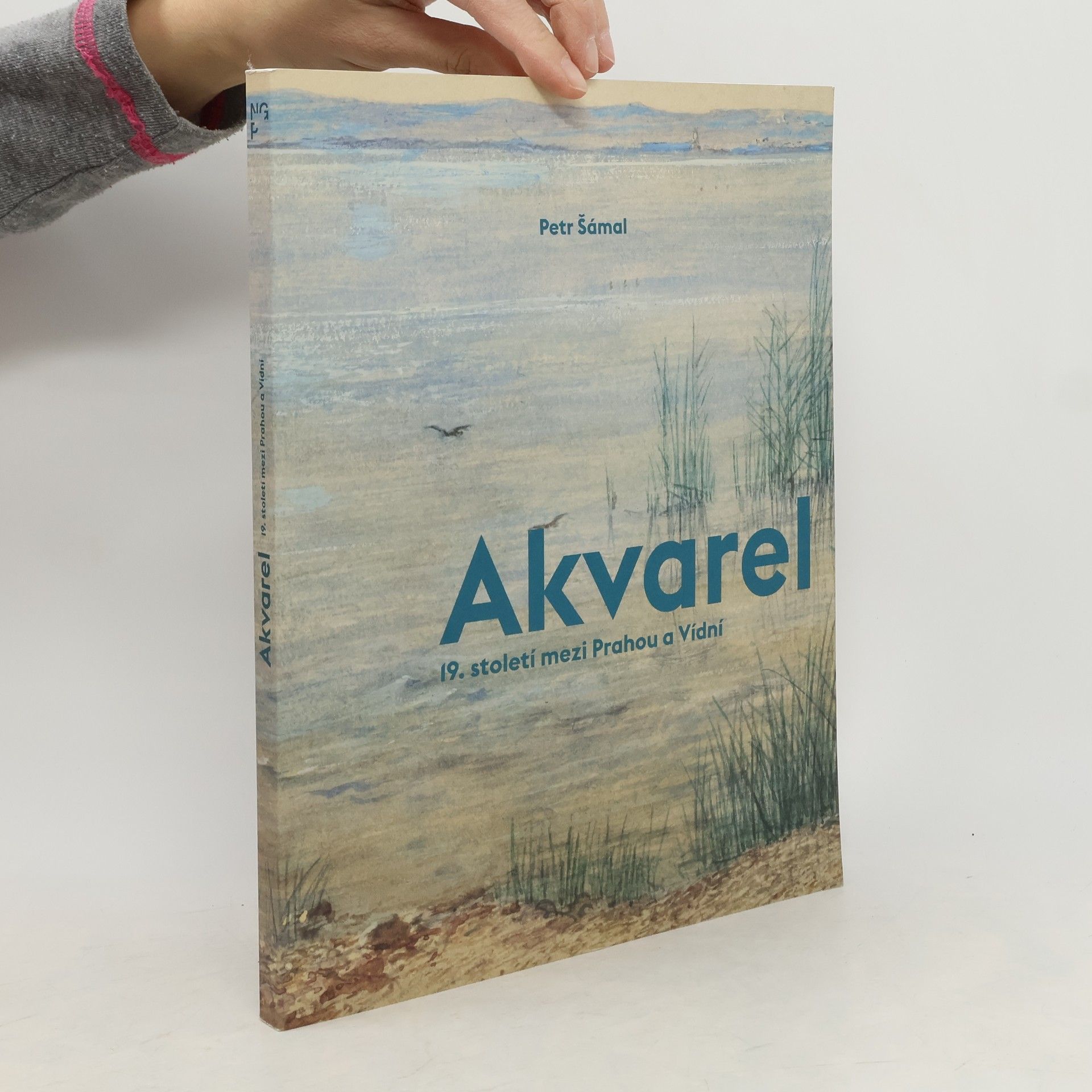 Petr Šámal Akvarel 19. století mezi Prahou a Vídní