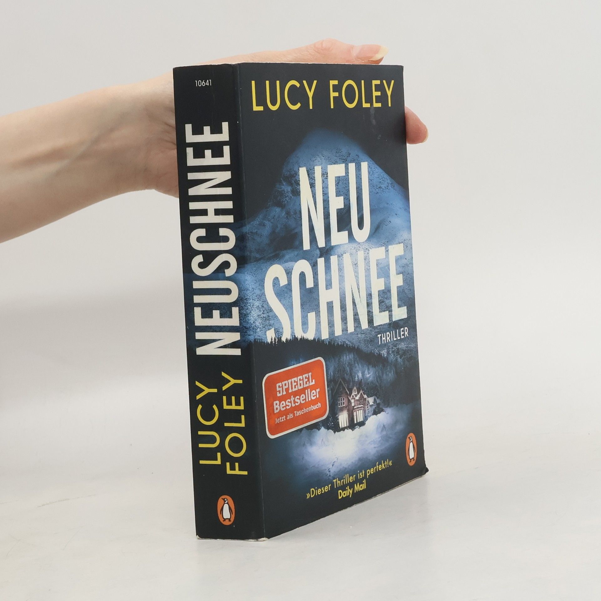 Lucy Foley Neuschnee