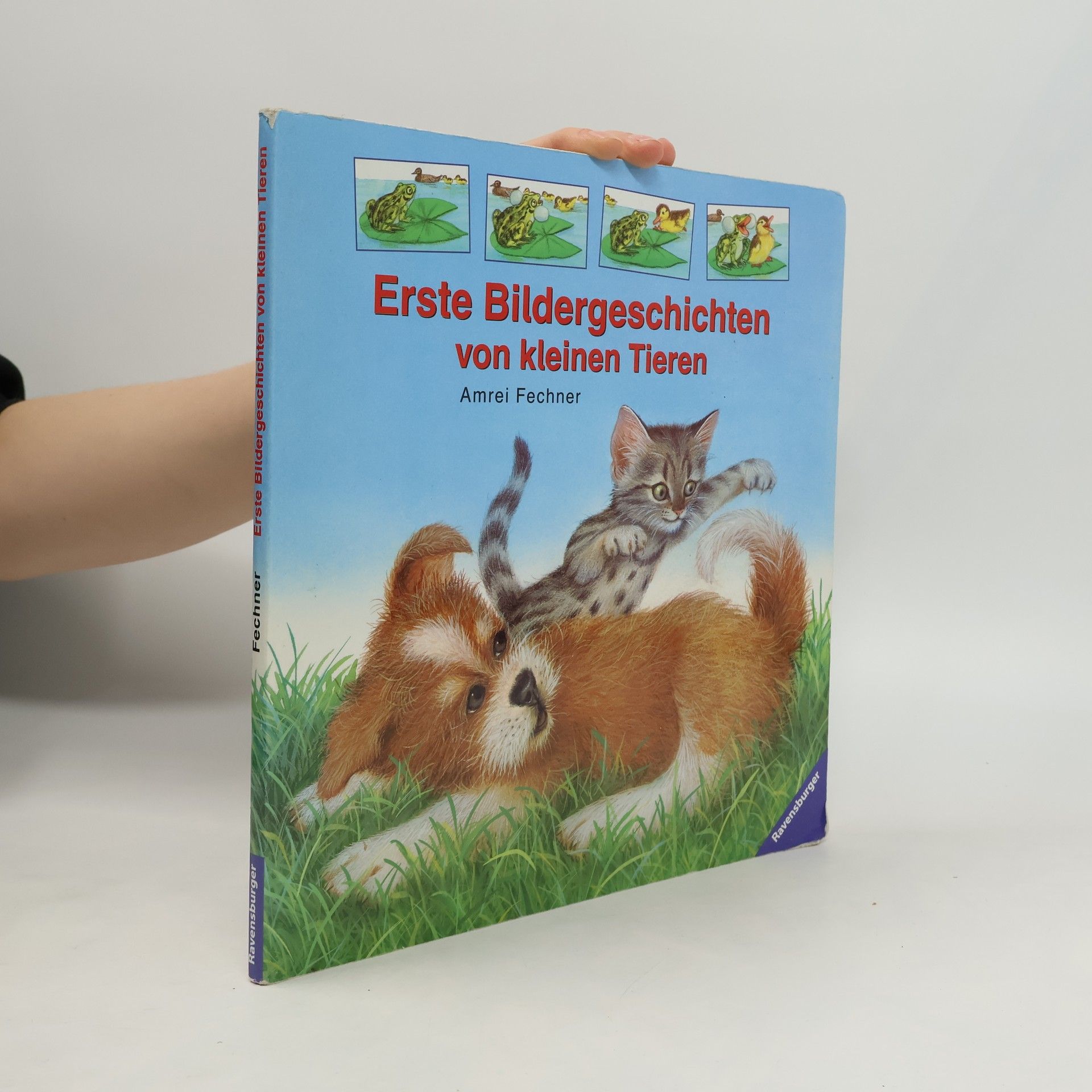 Amrei Fechner Erste Bildergeschichten von kleinen Tieren