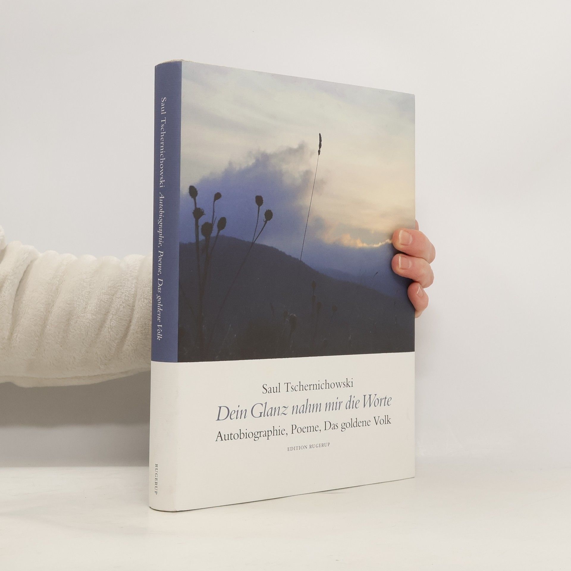 Dein Glanz nahm mir die Worte