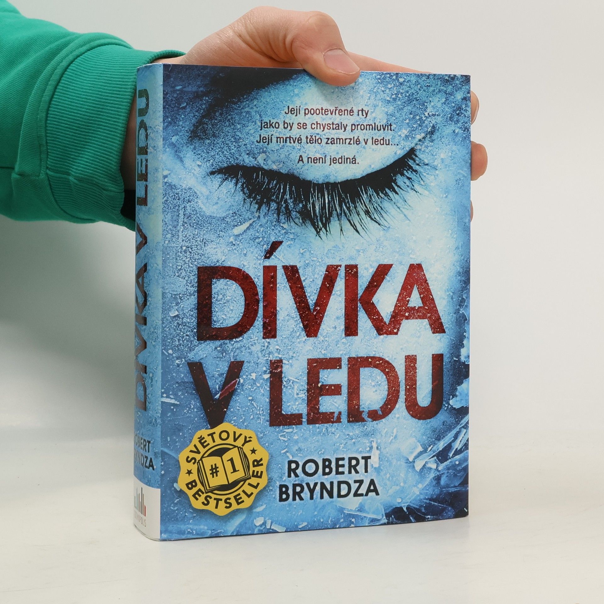 Robert Bryndza Dívka v ledu