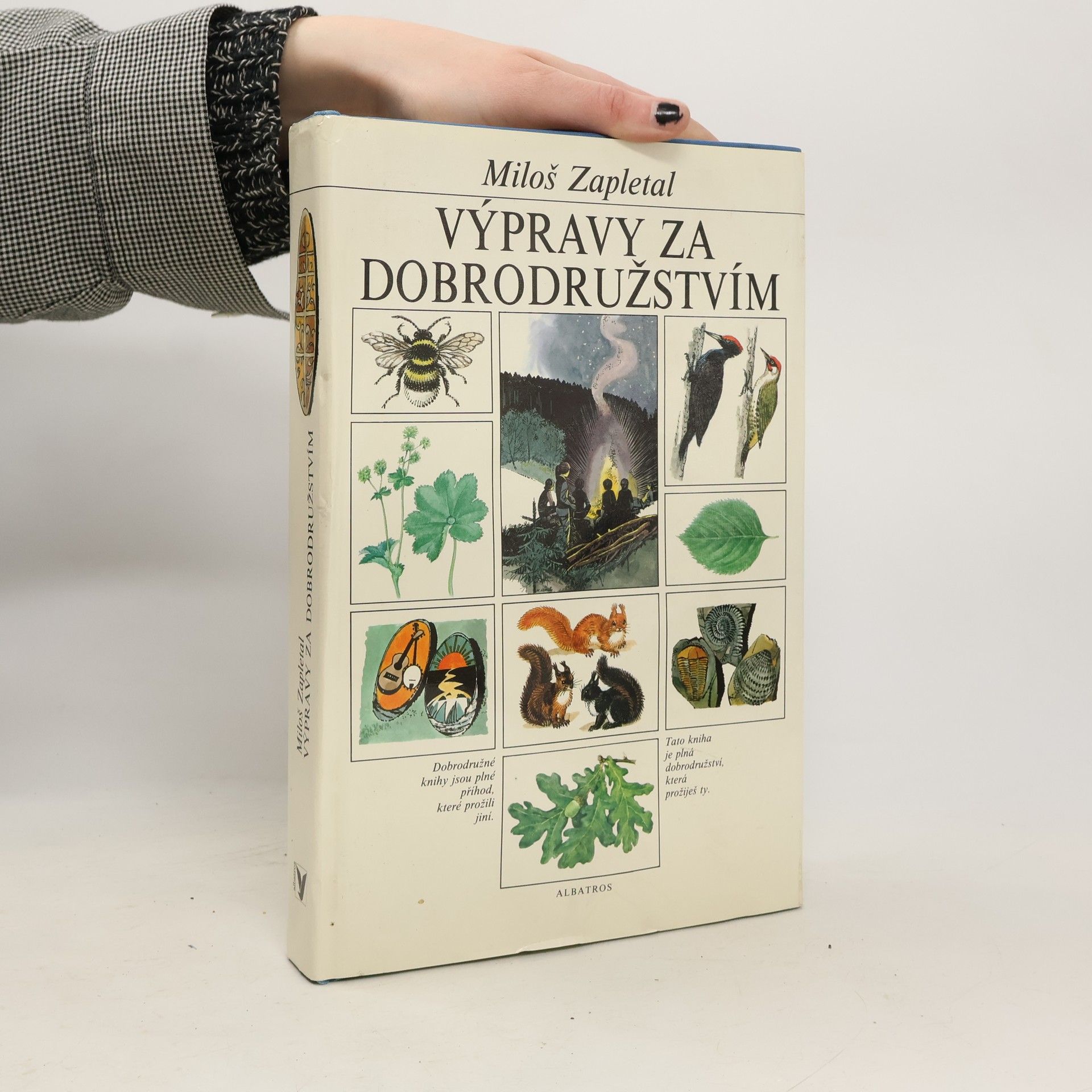 Výpravy za dobrodružstvím