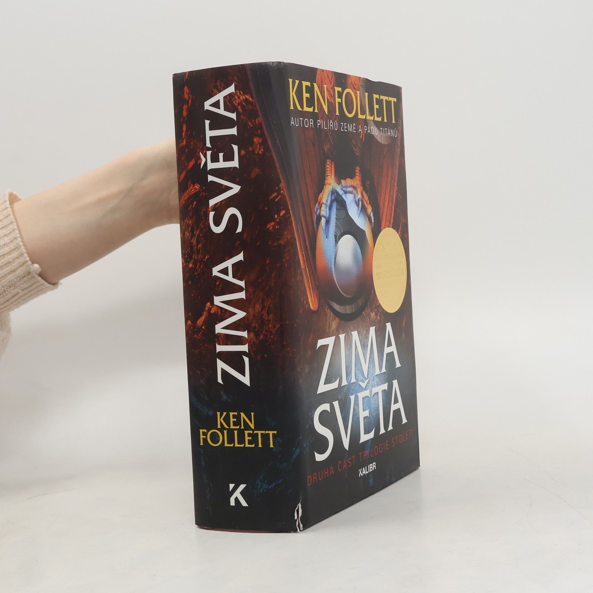 Ken Follett Zima světa