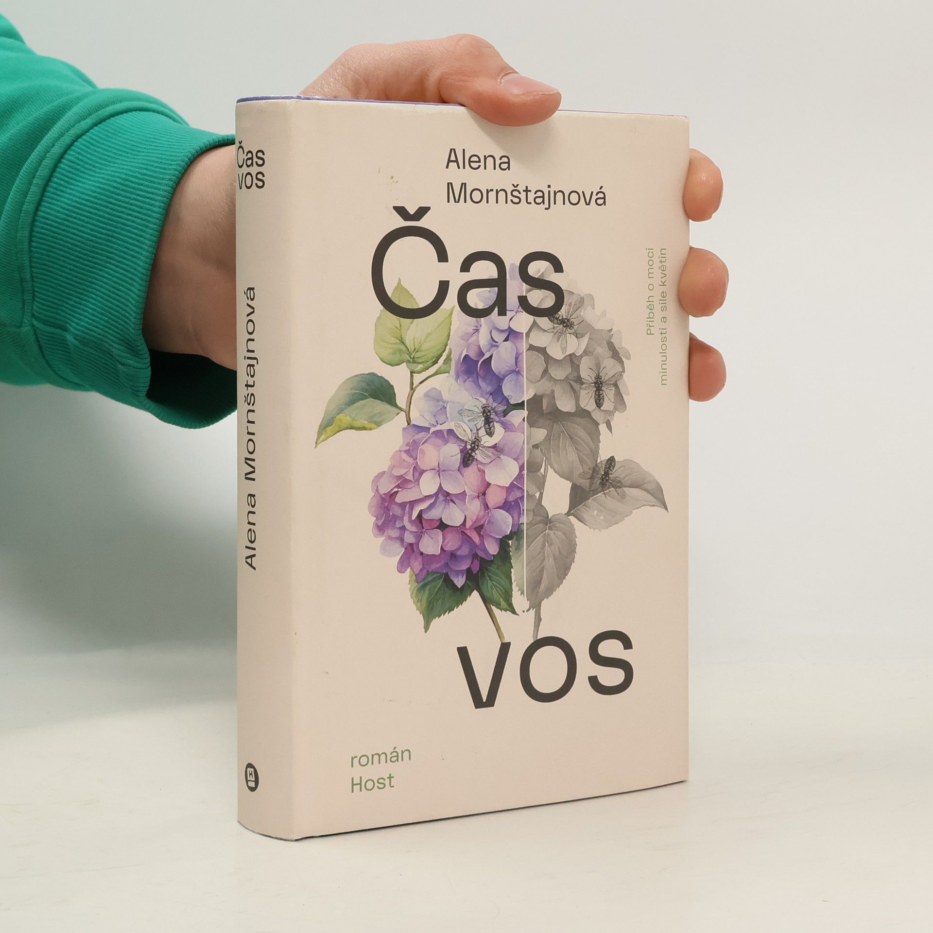 Alena Mornštajnová Čas vos