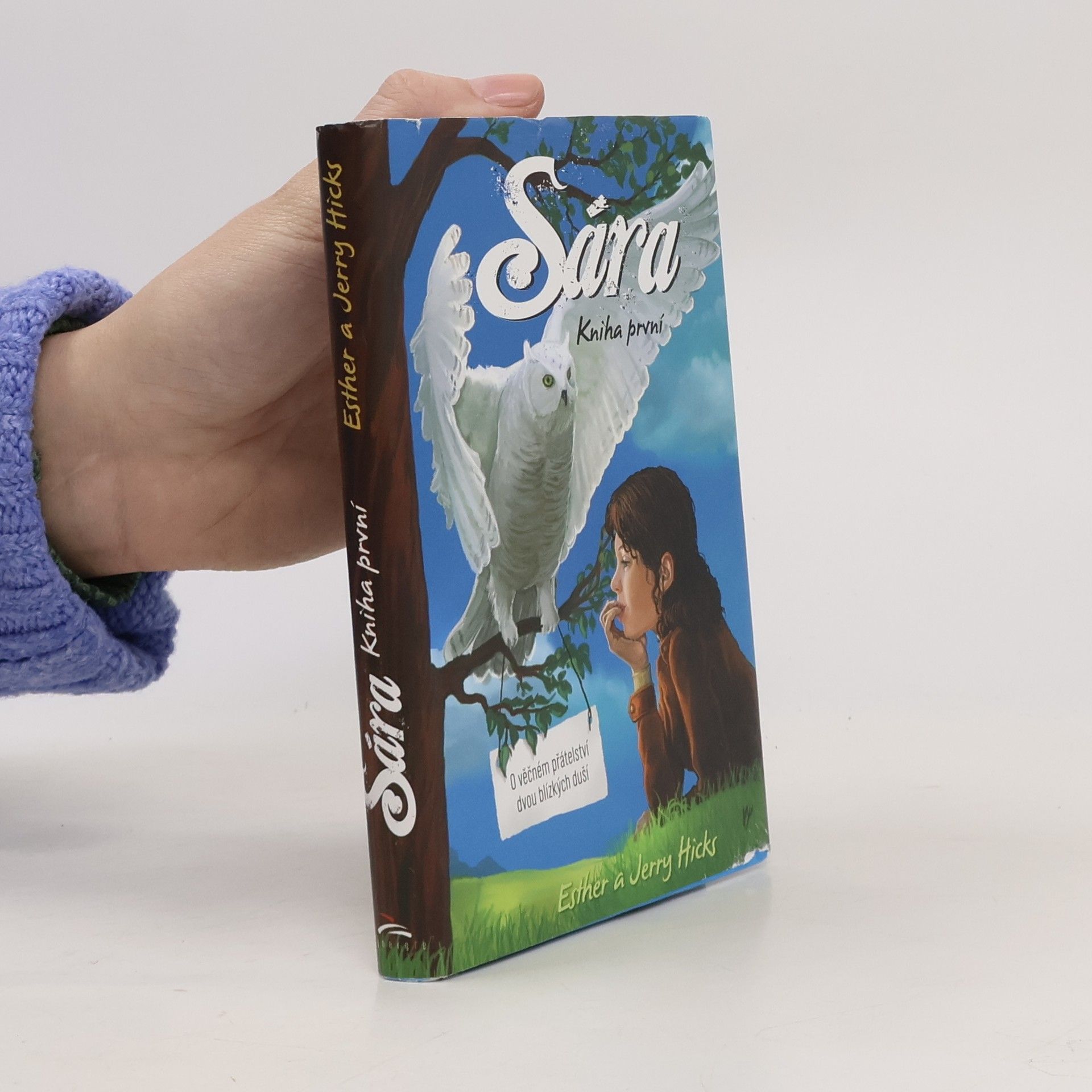 Esther Hicks Sára. Kniha první, O věčném přátelství dvou blízkých duší