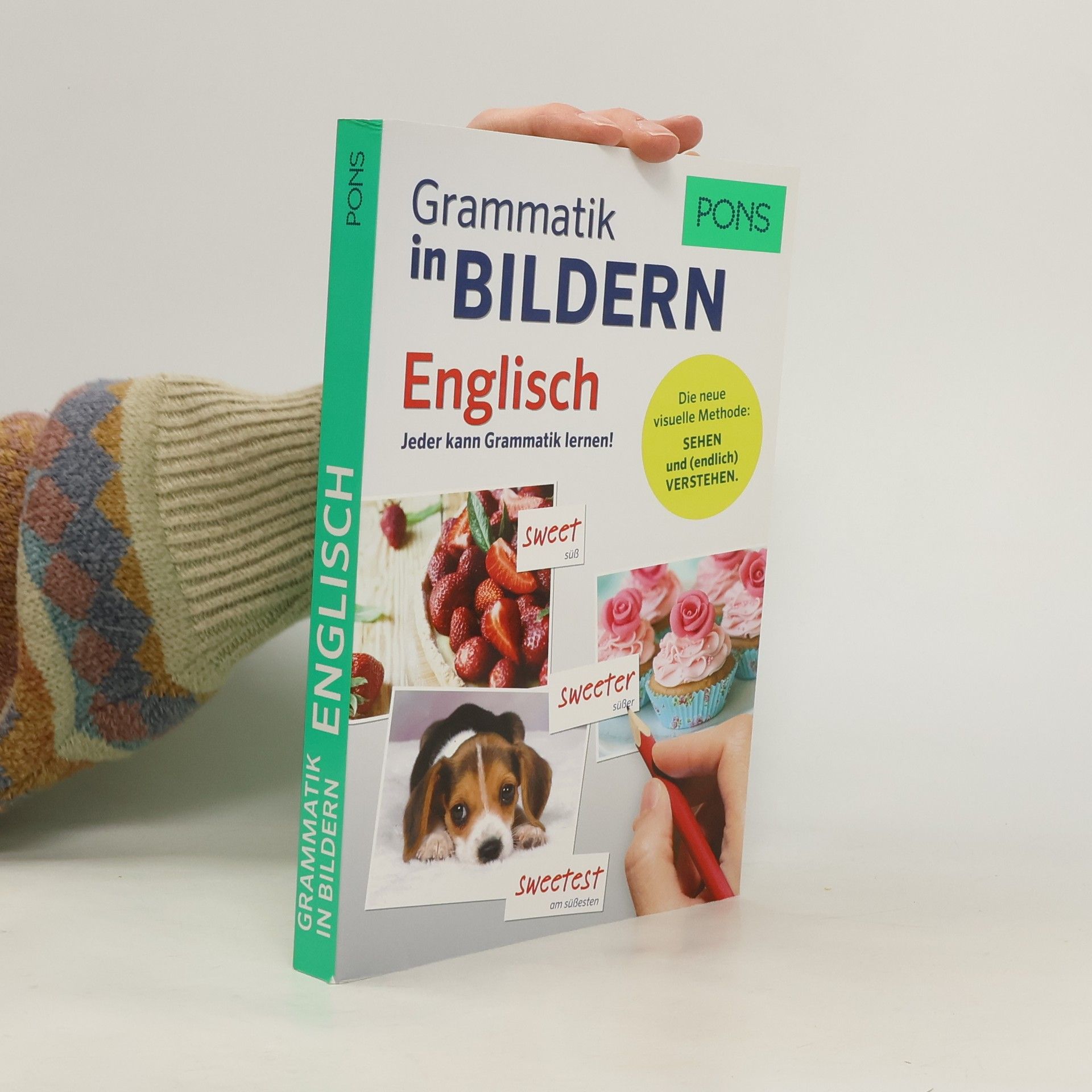 Brian Melican PONS Grammatik in Bildern Englisch