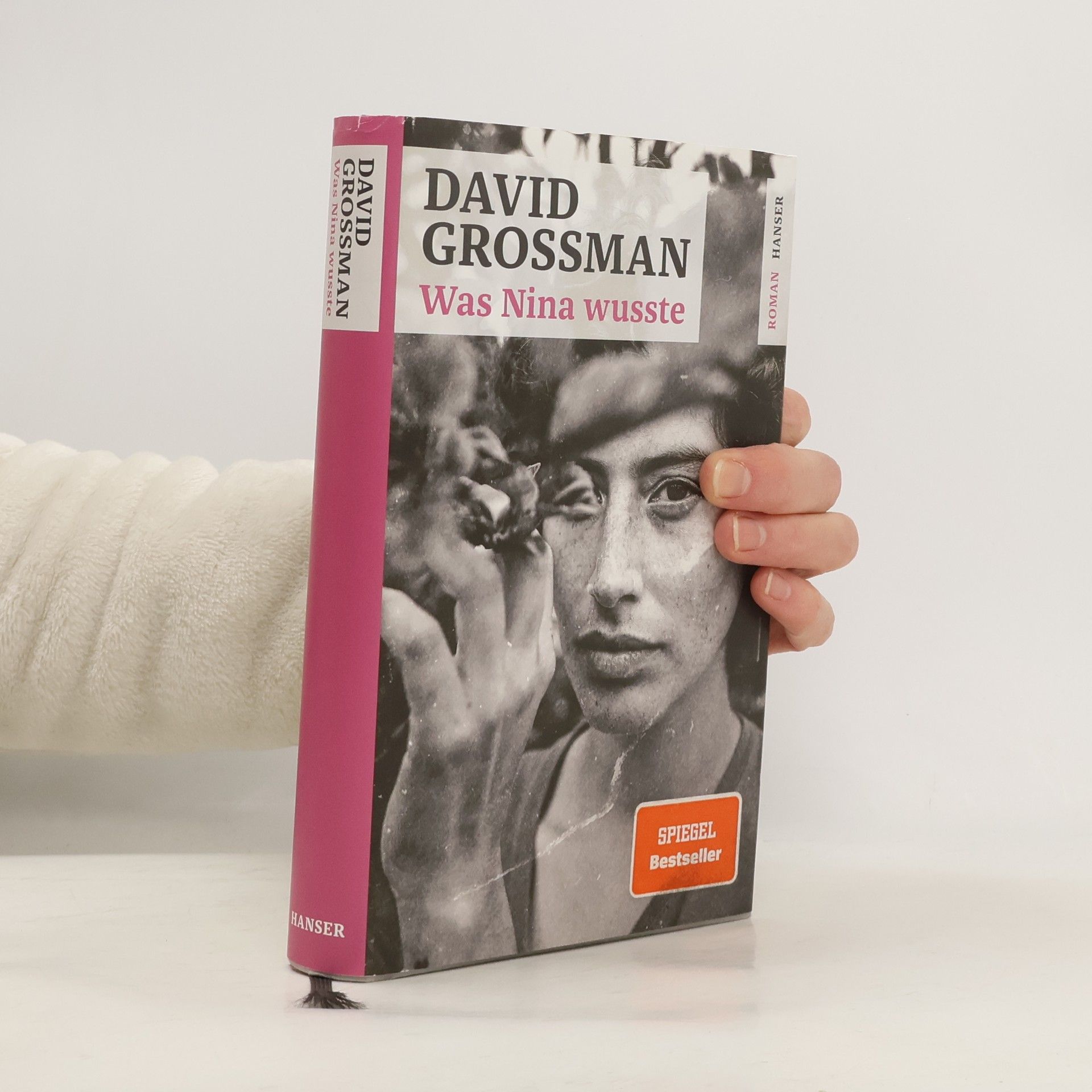 David Grossman Was Nina wusste