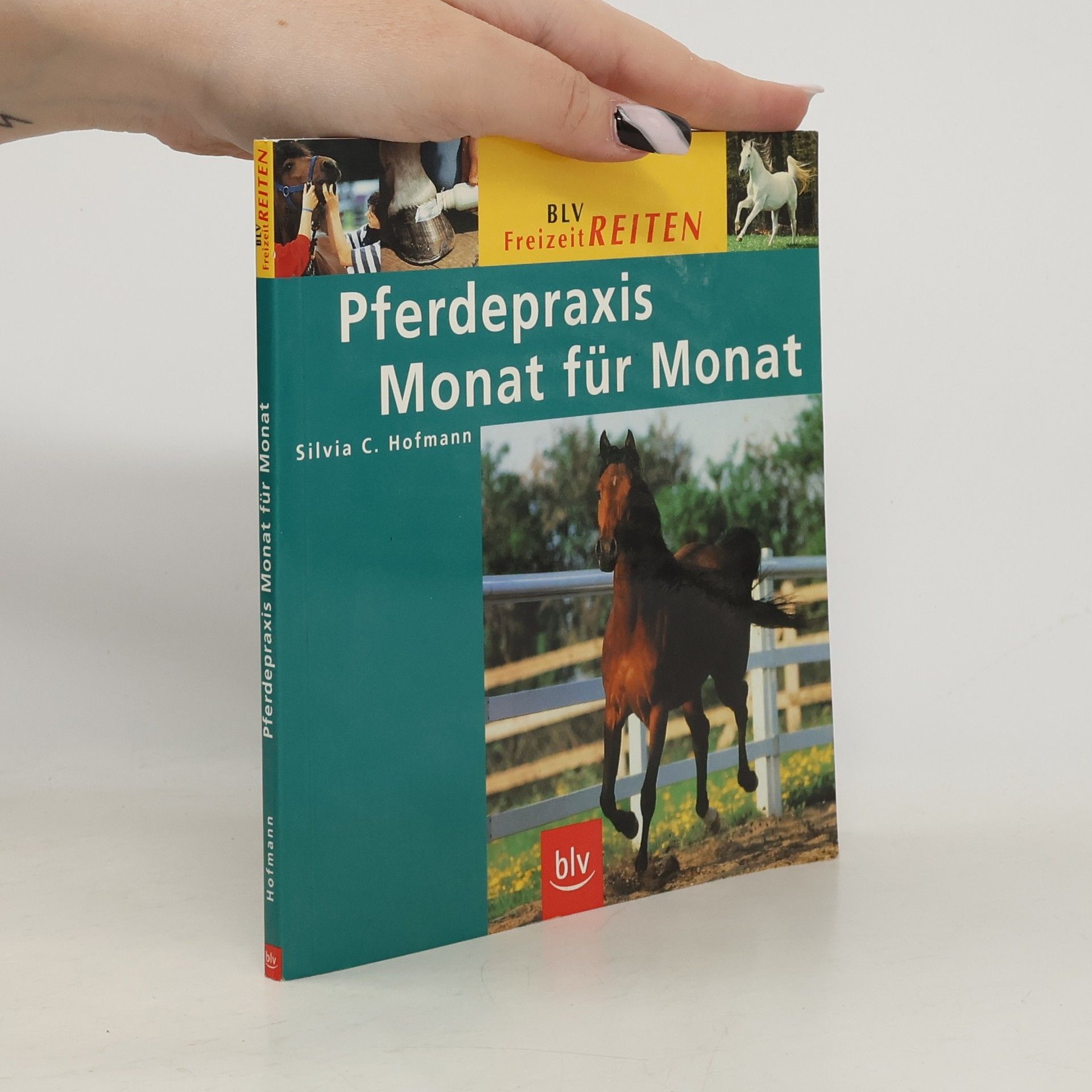 Pferdepraxis Monat für Monat