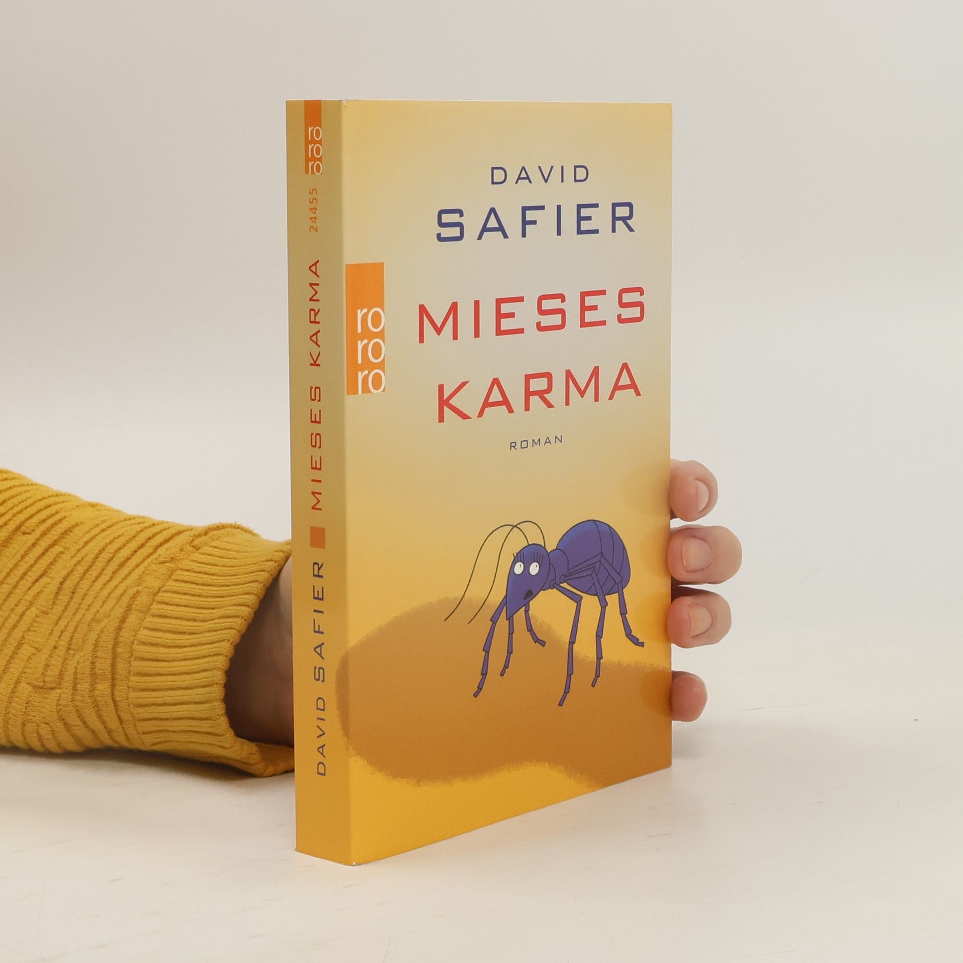 David Safier Mieses Karma