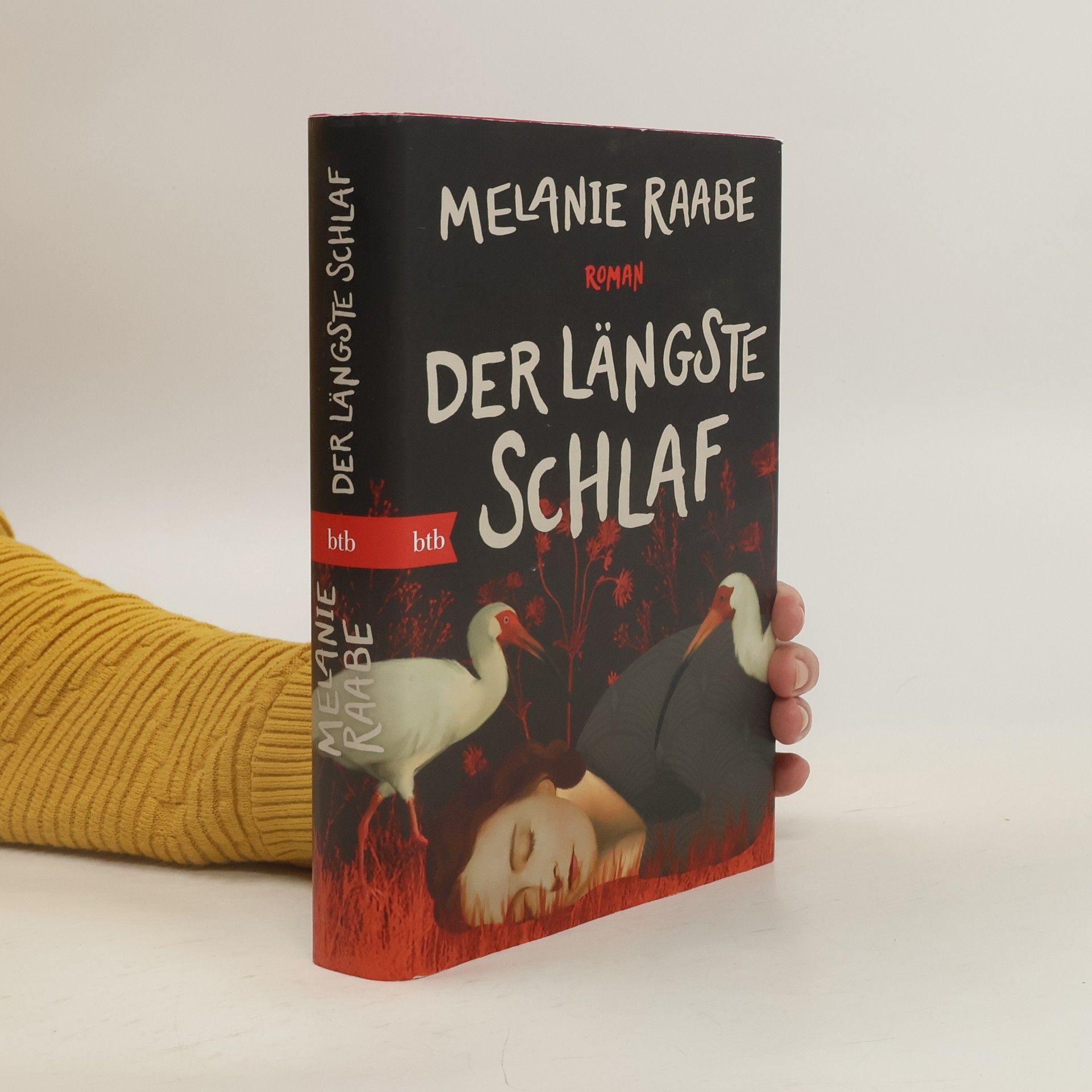 Der längste Schlaf. Roman