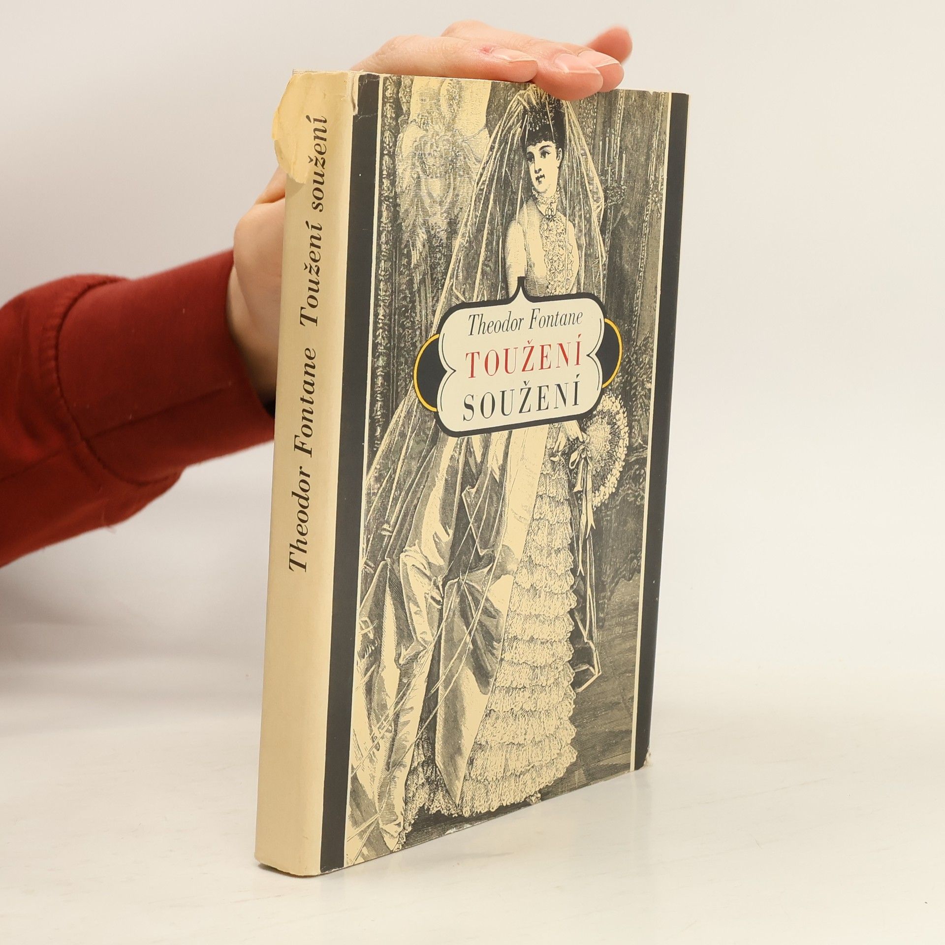 Kamila Jiroudková Toužení soužení