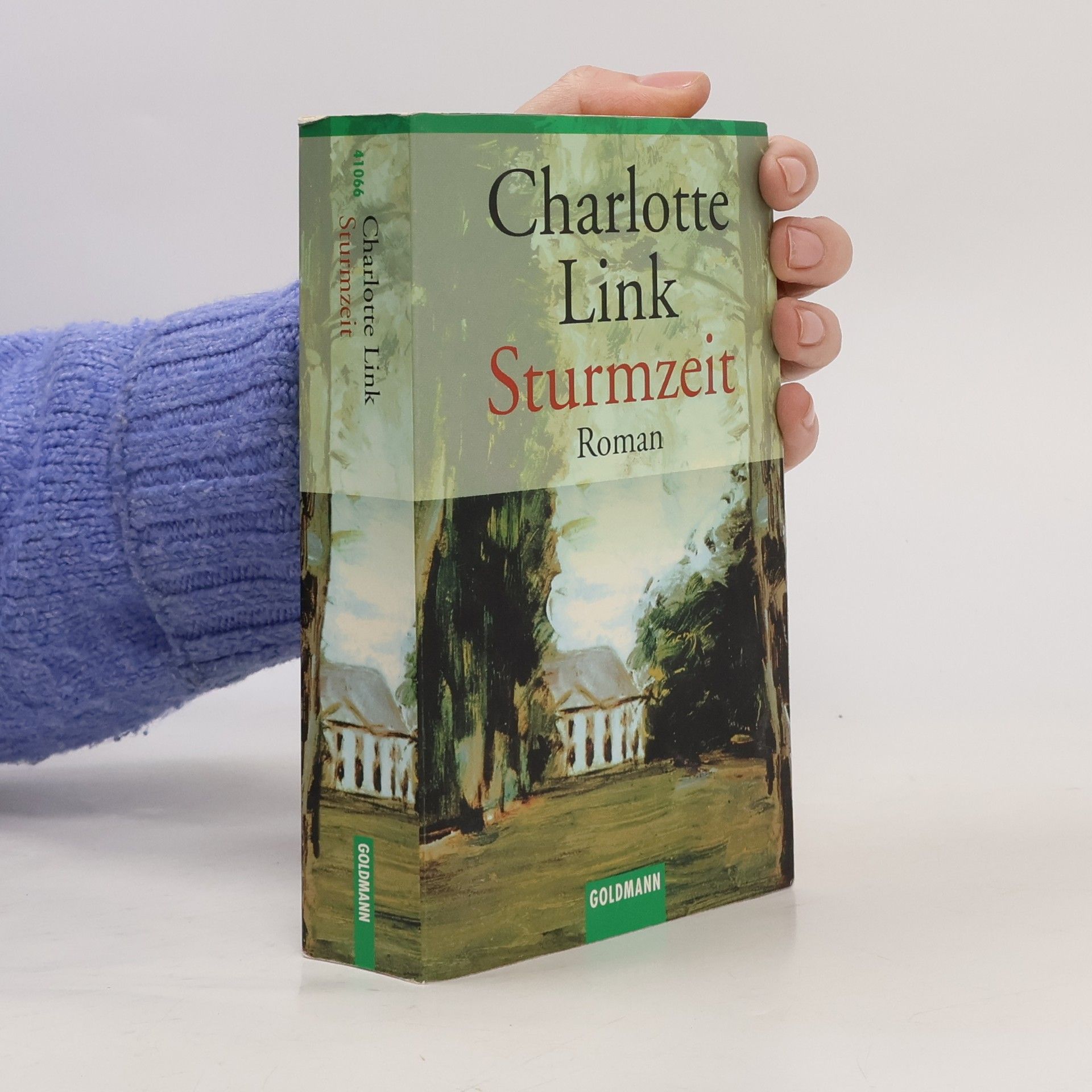 Charlotte Link Sturmzeit