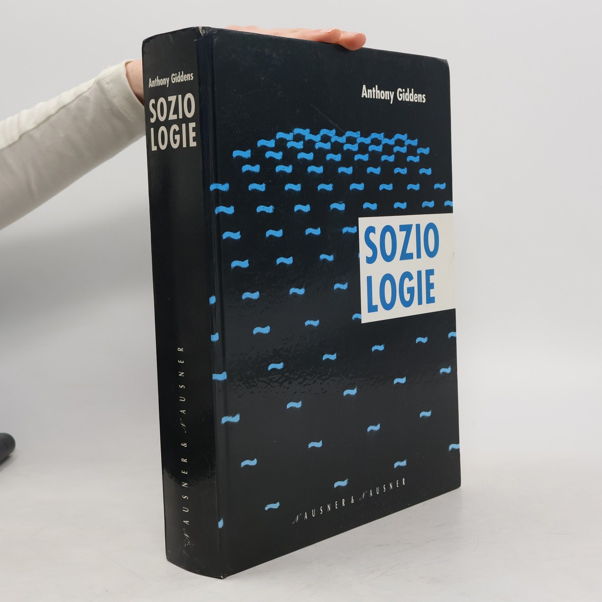 Anthony Giddens, Baron Giddens Soziologie