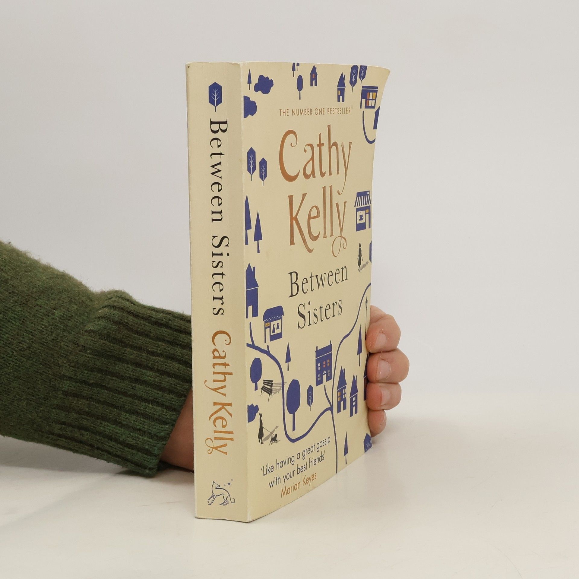 Cathy Kelly Between Sisters