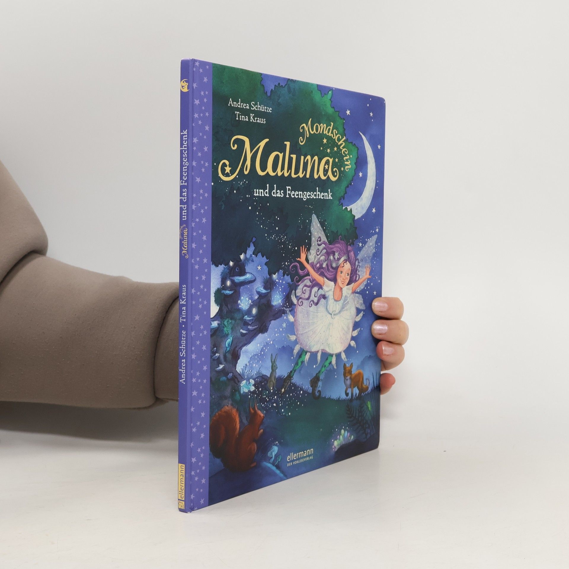 Andrea Schütze Maluna Mondschein und das Feengeschenk