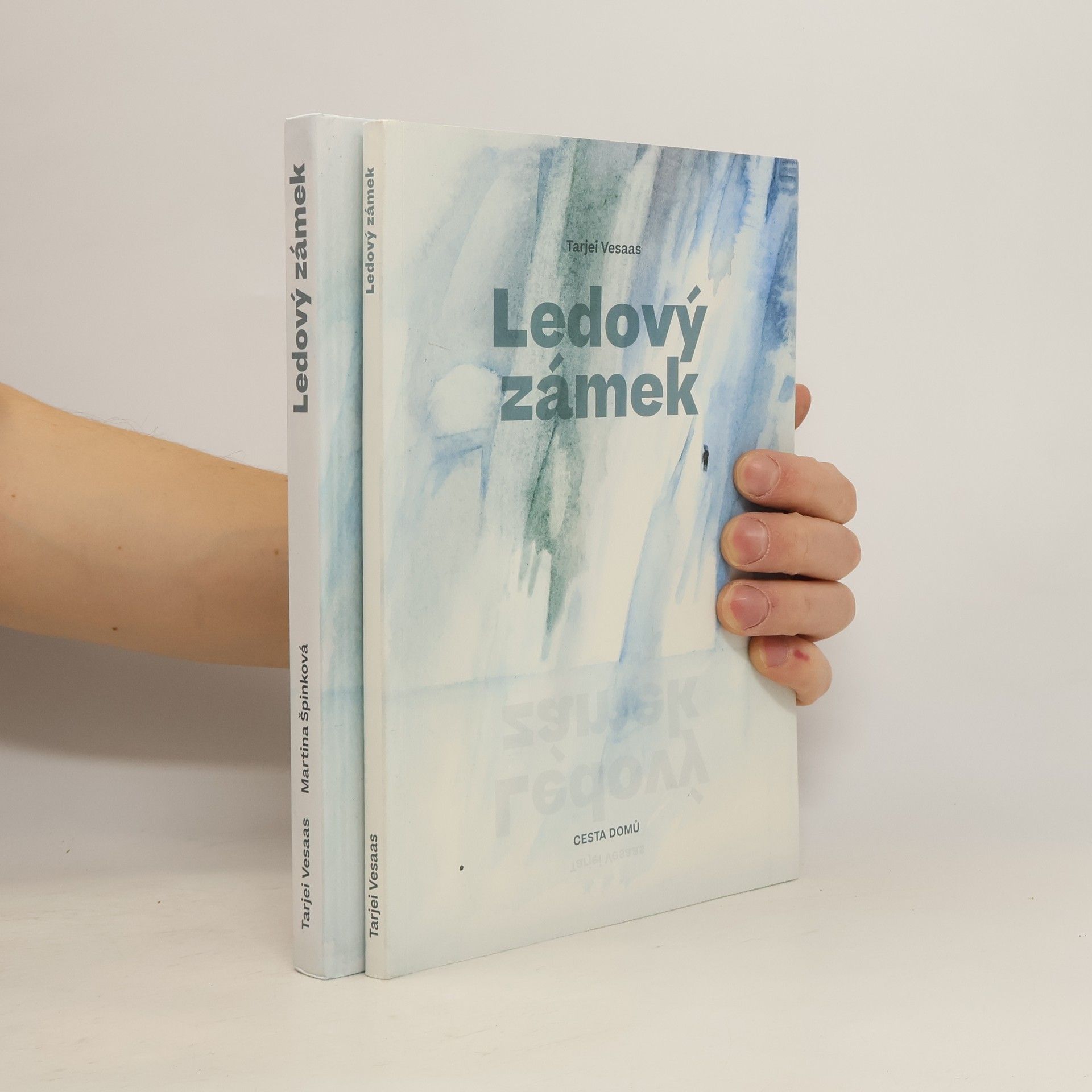 Tarjei Vesaas Ledový zámek. Kniha II