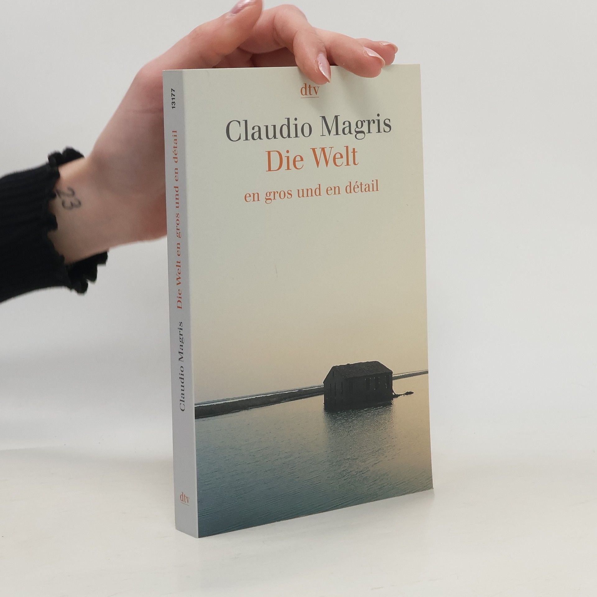 Claudio Magris Die Welt en gros und en détail