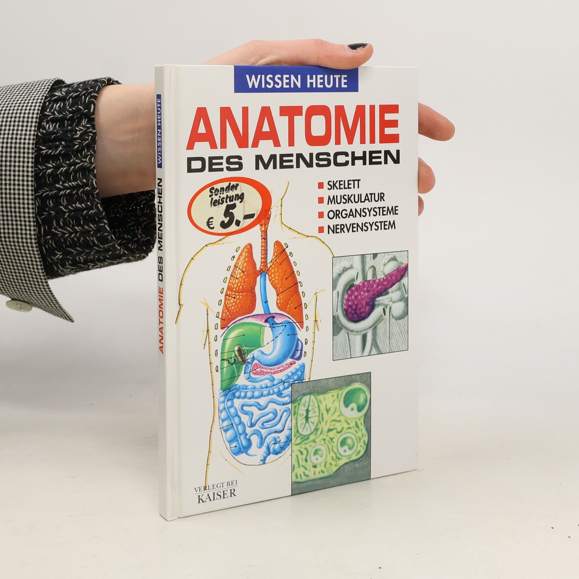 Autorenkollektiv Anatomie des menschen