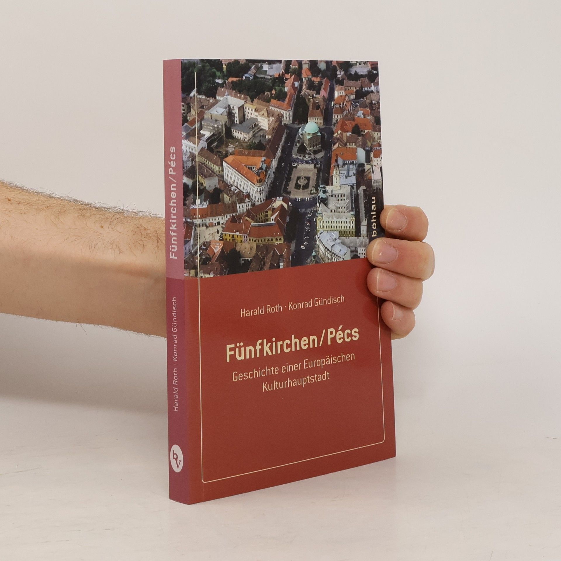 Harald Roth Fünfkirchen, Pécs