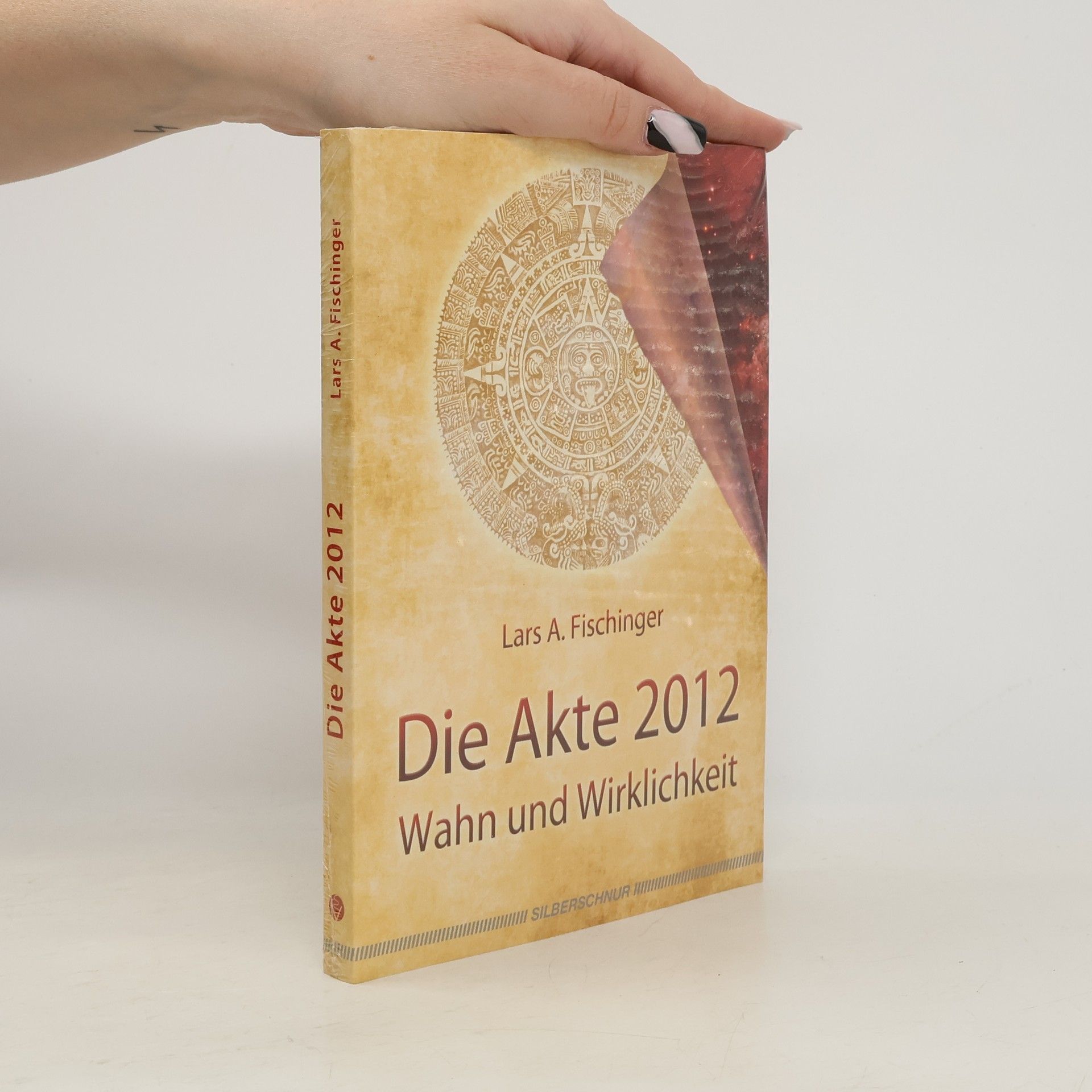 Lars A. Fischinger Die Akte 2012