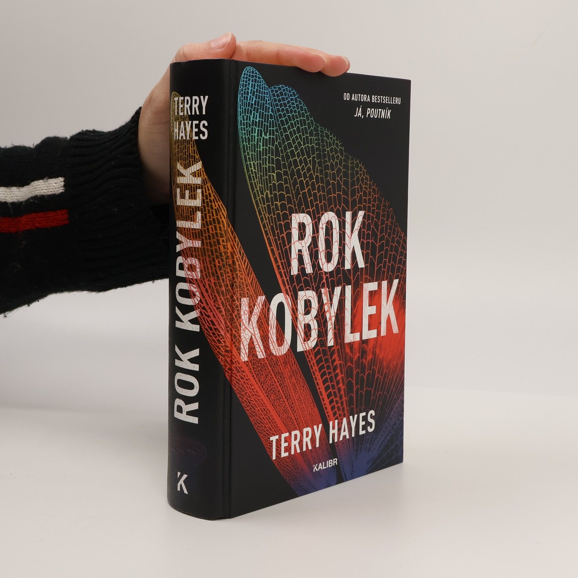 Terry Hayes Rok kobylek