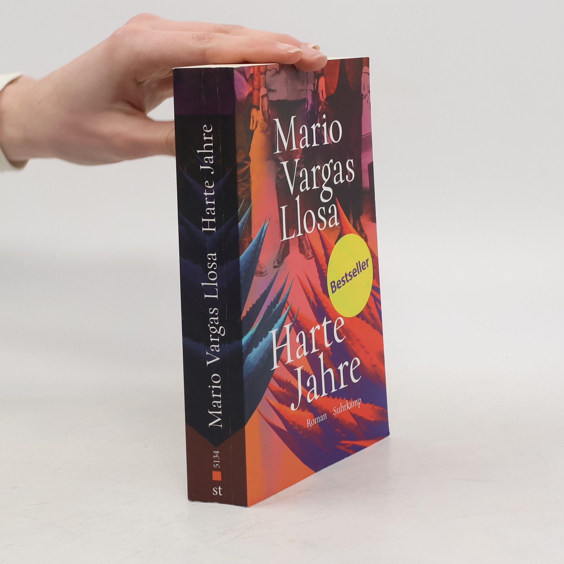 Mario Vargas Llosa Harte Jahre