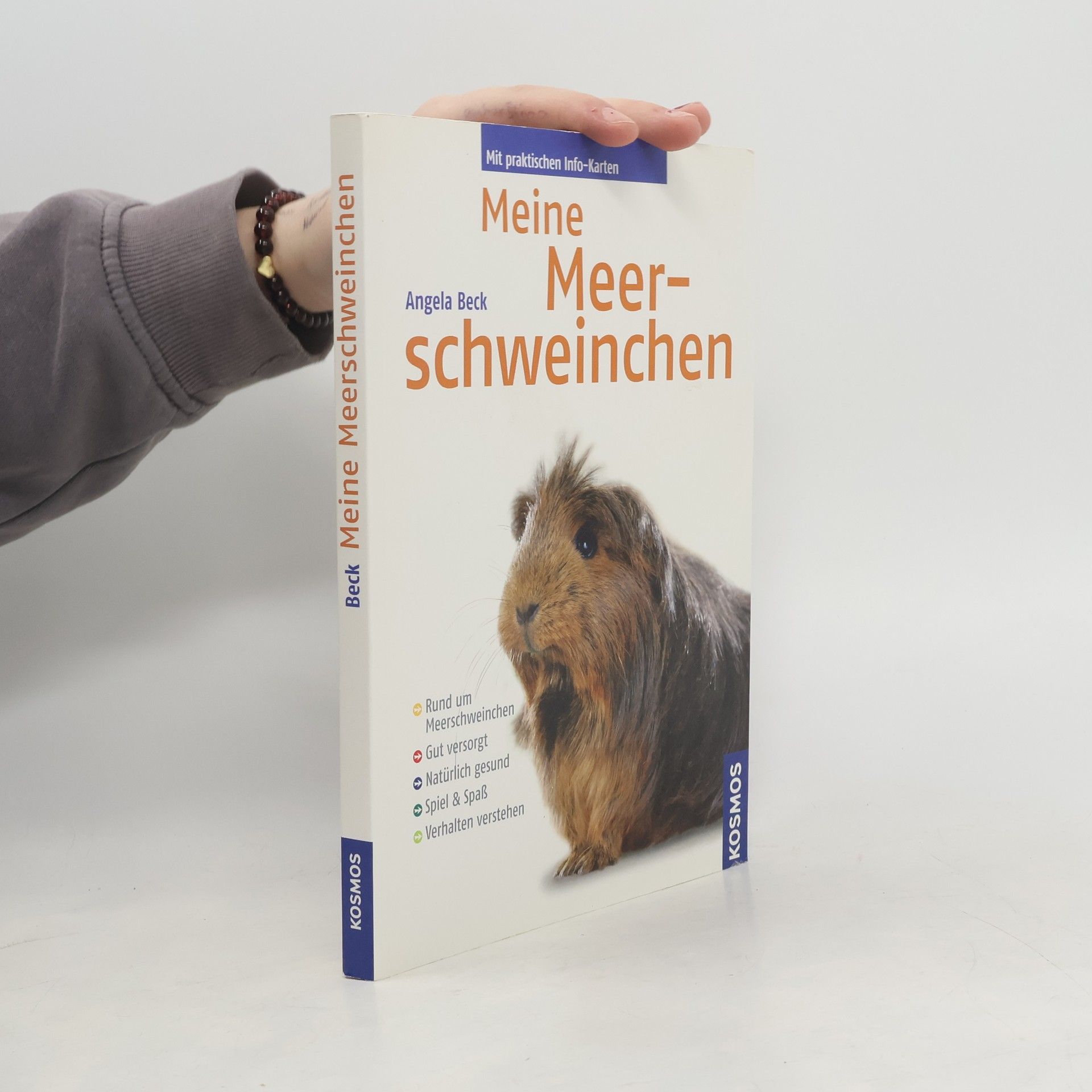 Meine Meerschweinchen
