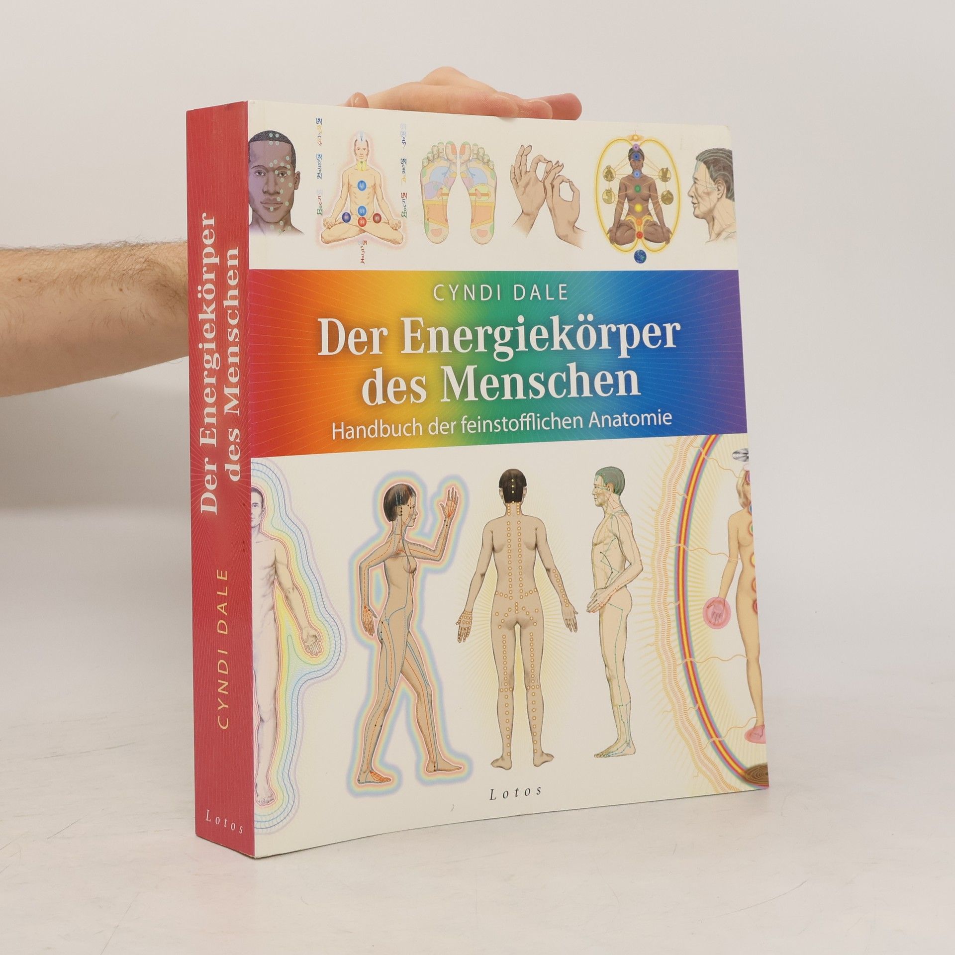Cyndi Dale Der Energiekörper des Menschen