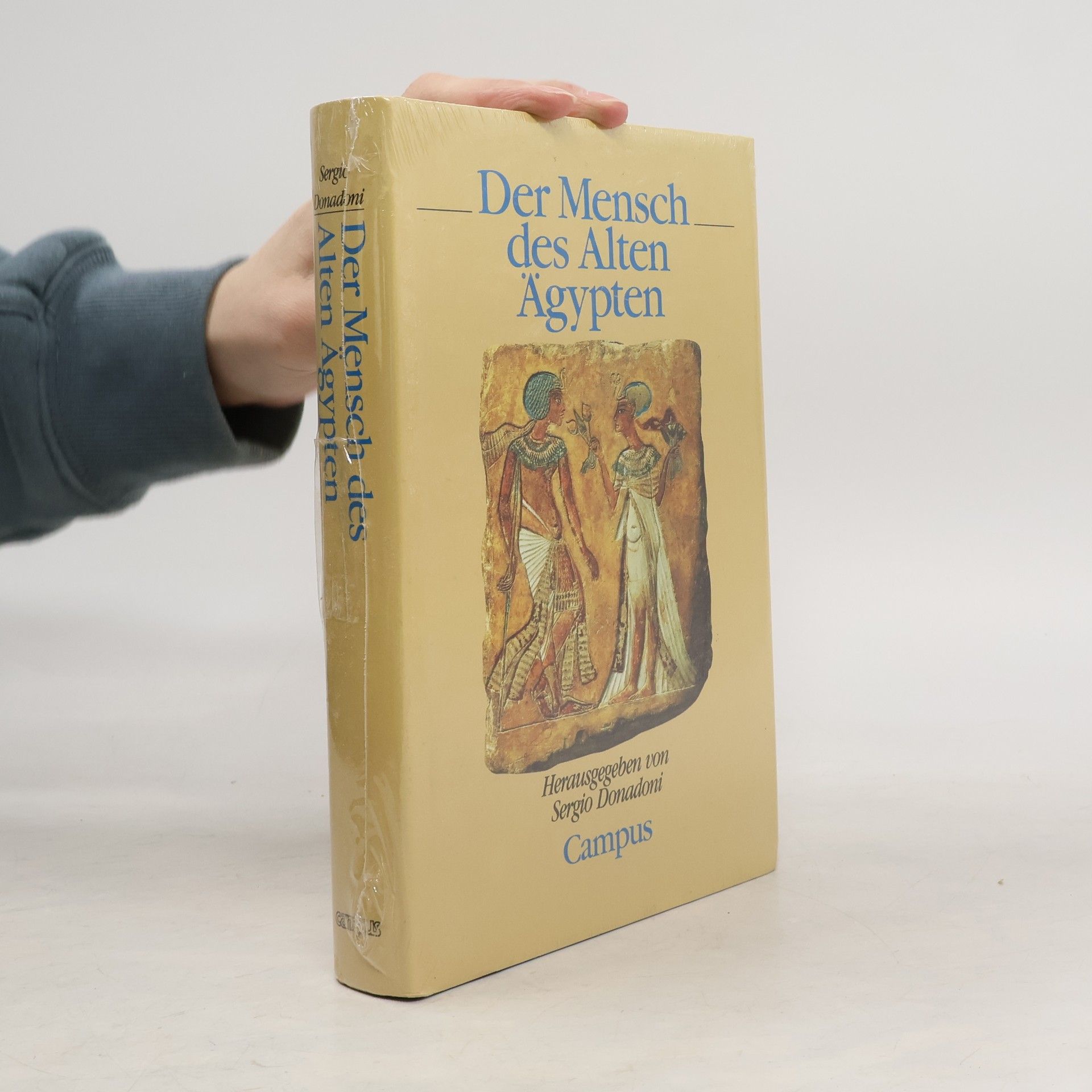 Sergio Donadoni Der Mensch des Alten Ägypten