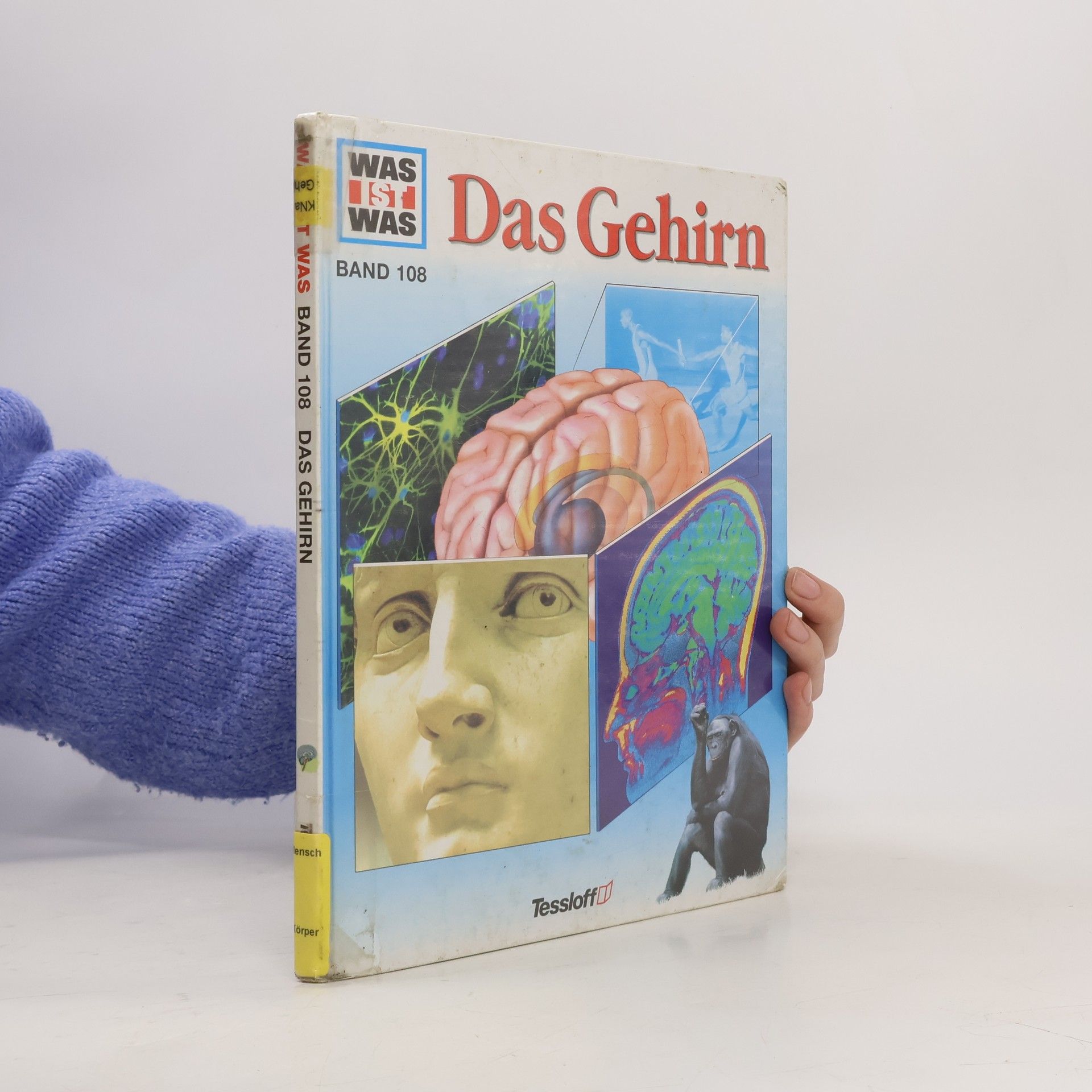 Monika Rößiger Das Gehirn