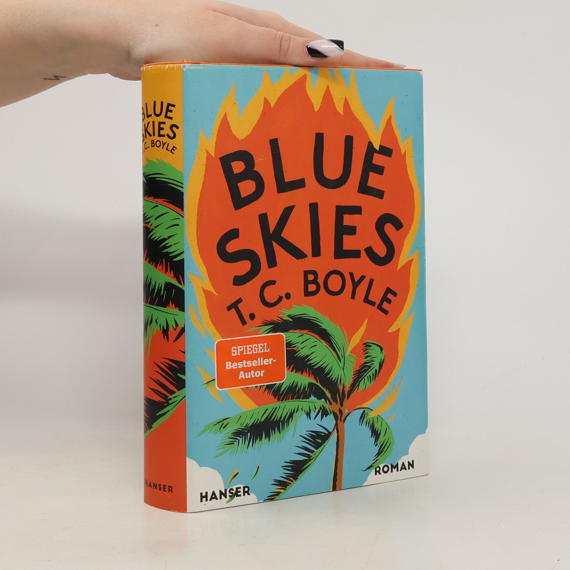 Tom Coraghessan Boyle Blue Skies