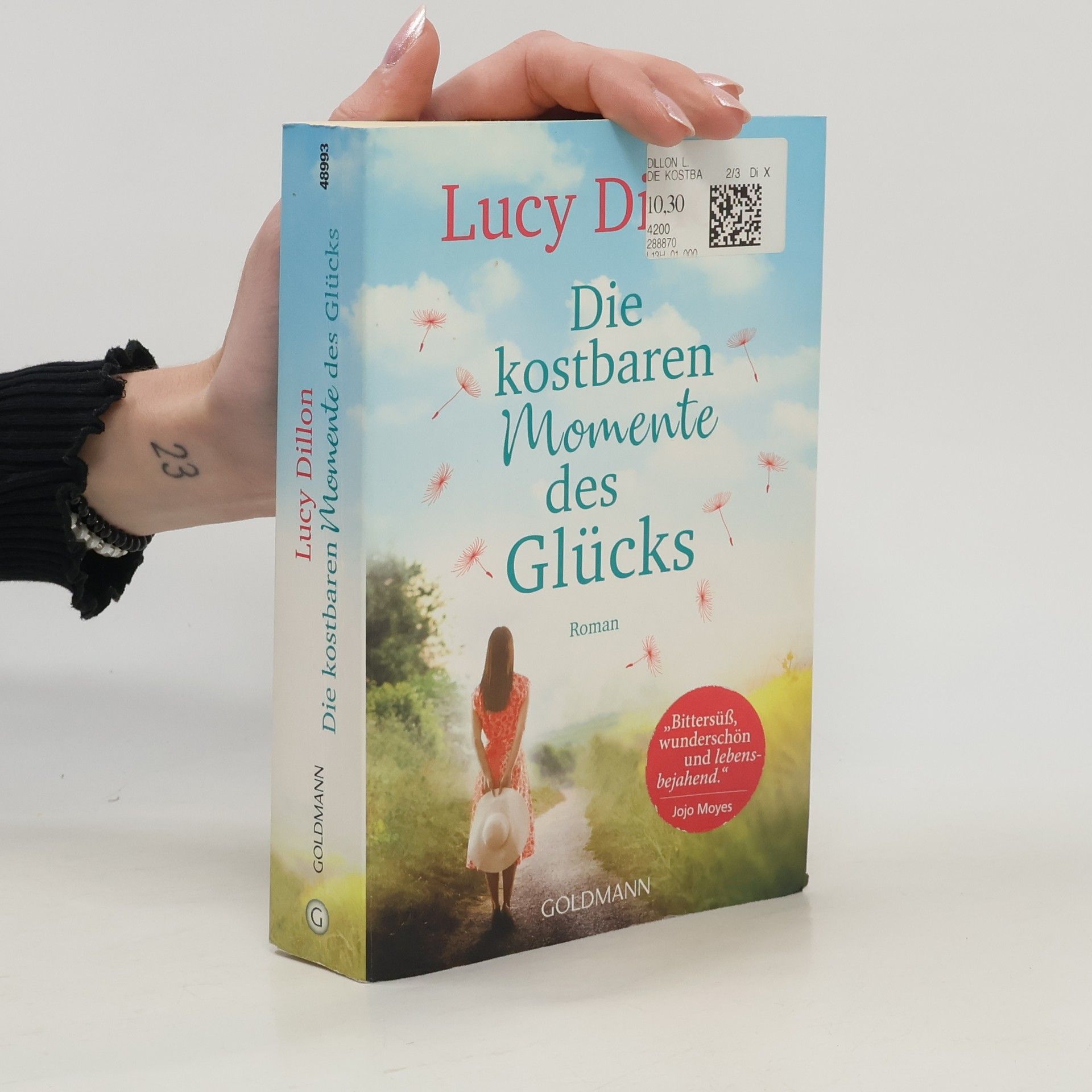 Lucy Dillon Die kostbaren Momente des Glücks