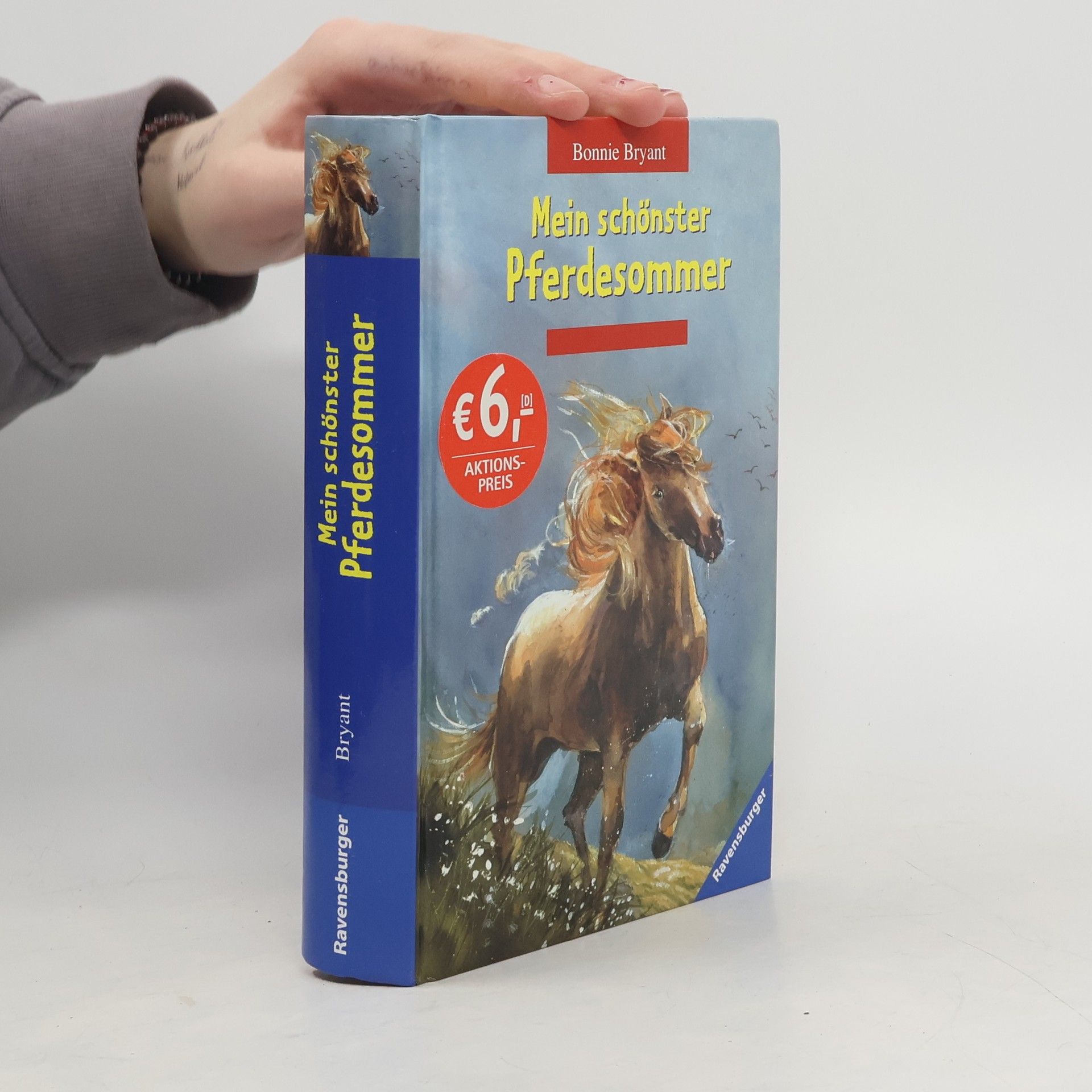 B. B. Hiller Mein schönster Pferdesommer