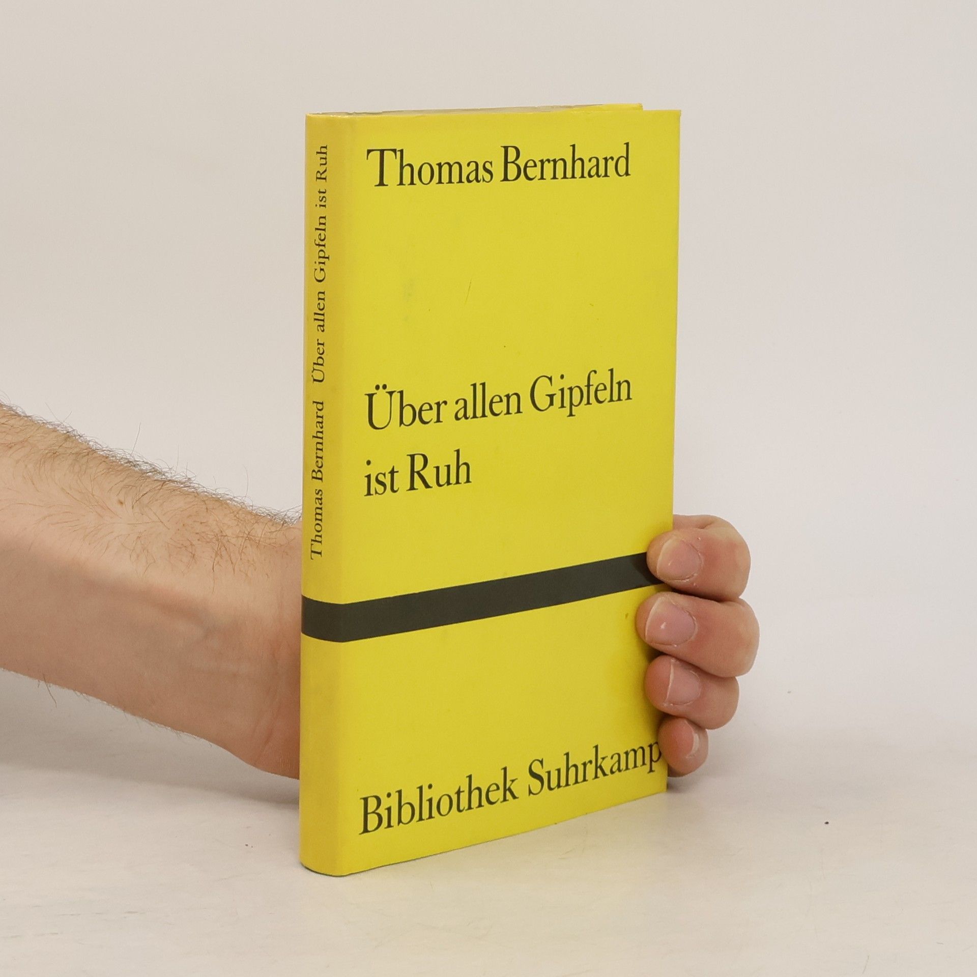 Thomas Bernhard Über allen Gipfeln ist Ruh