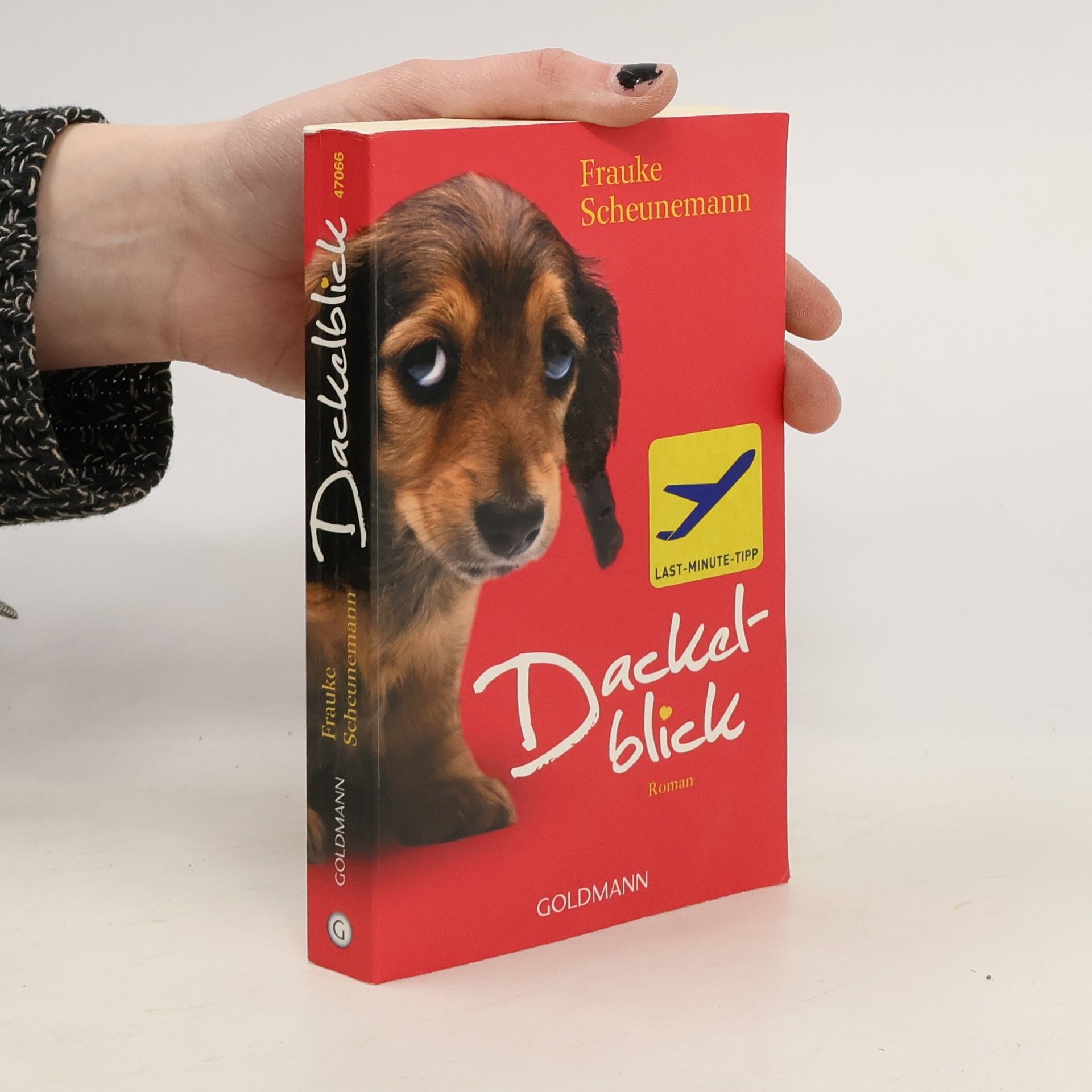 Frauke Scheunemann Dackelblick