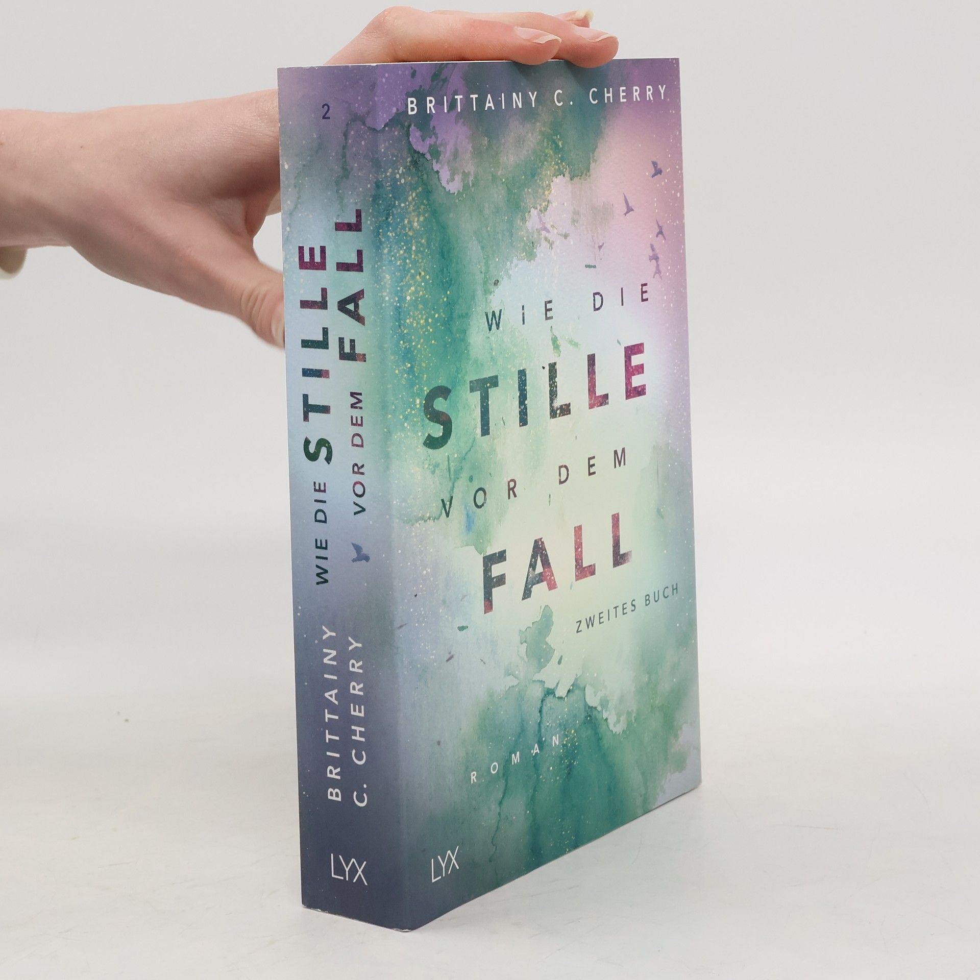 Brittainy C. Cherry Wie die Stille vor dem Fall 2