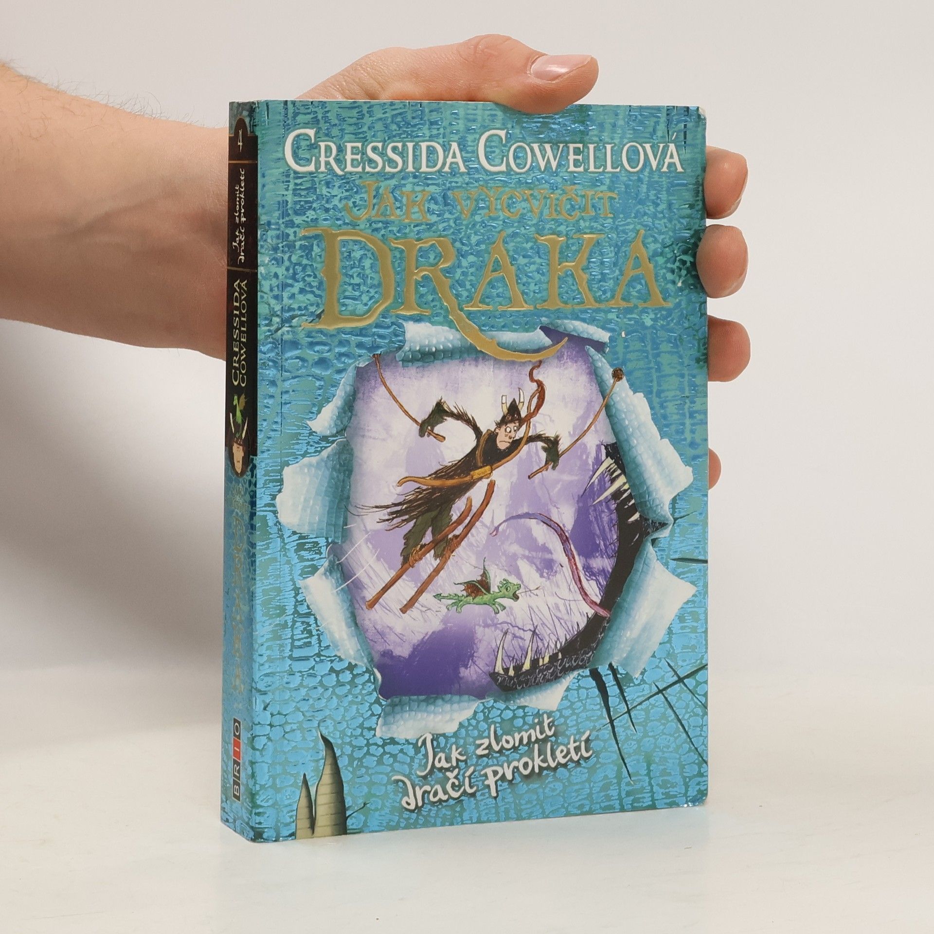 Jak zlomit dračí prokletí (Škyťák Šelmovská Štika III.) 4