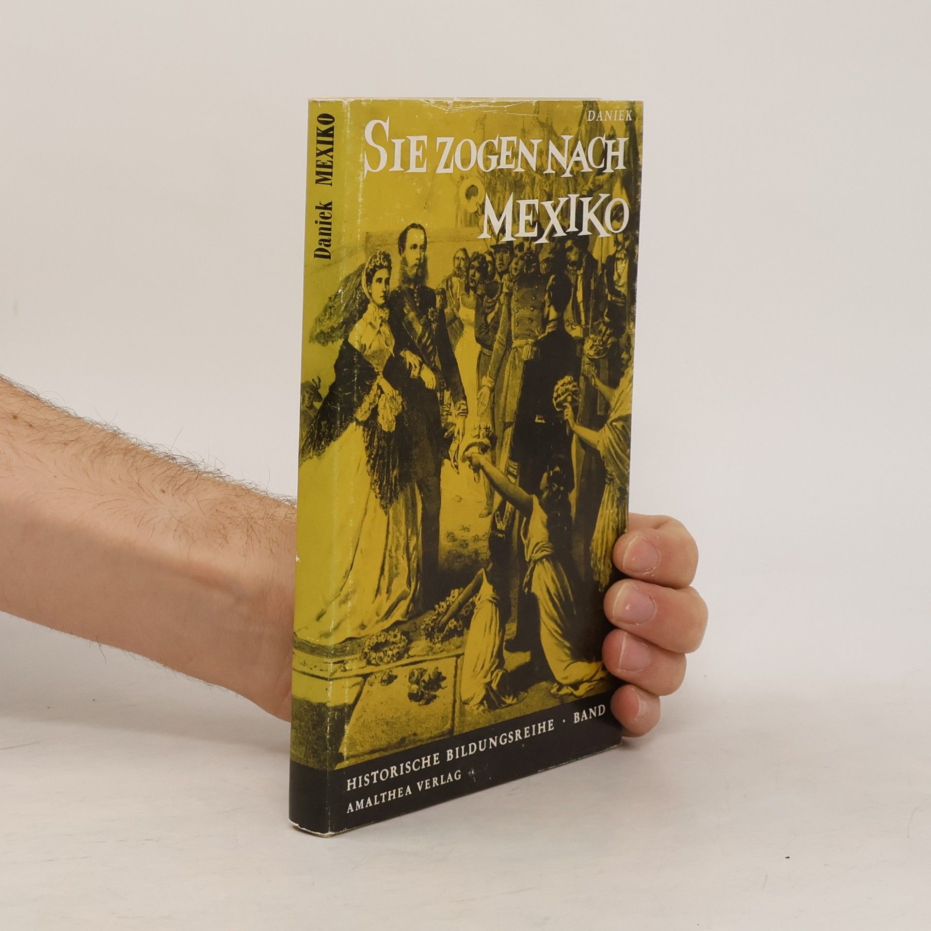 Various authors Sie zogen nach Mexiko