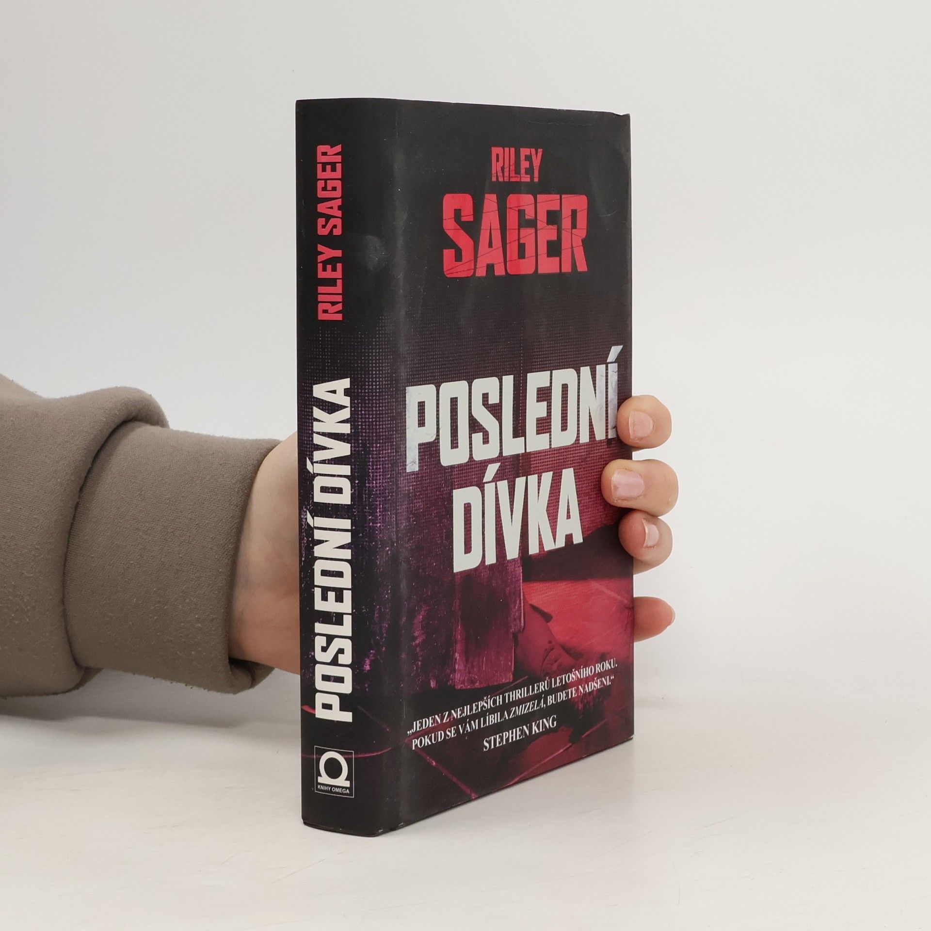 Todd Ritter Poslední dívka