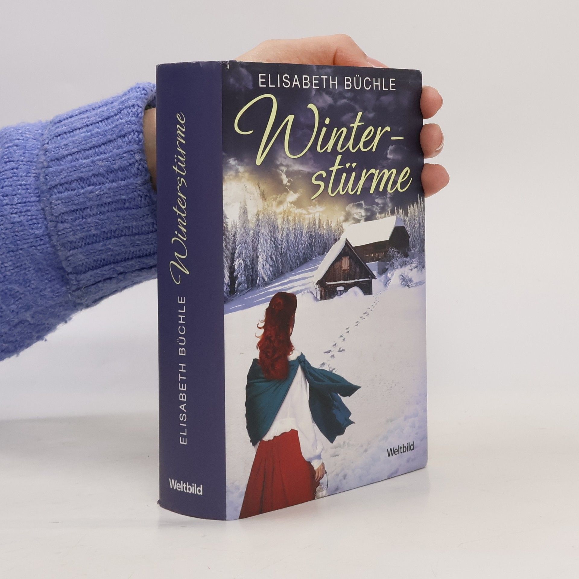Elisabeth Büchle Winterstürme