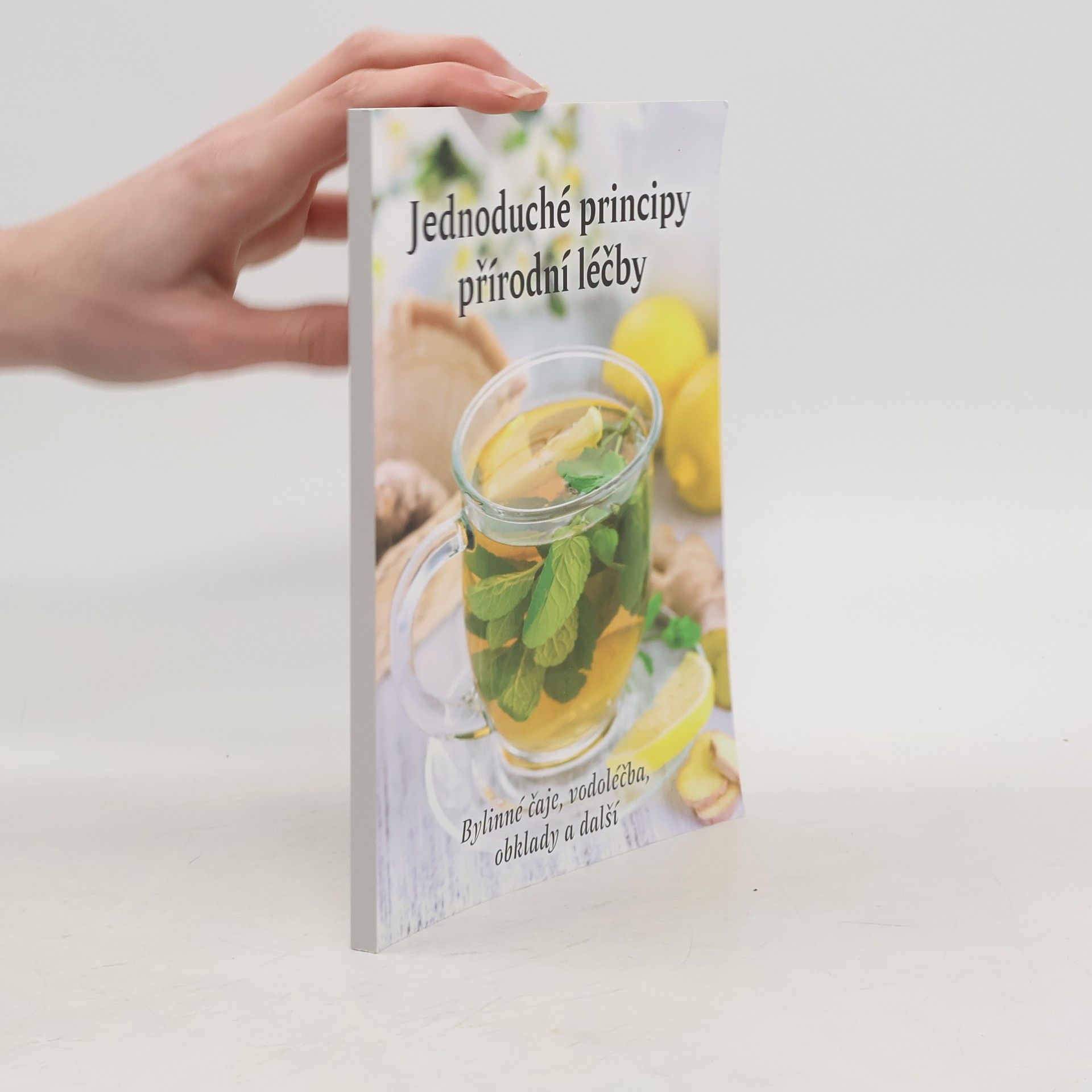Autorenkollektiv Jednoduché principy přírodní léčby