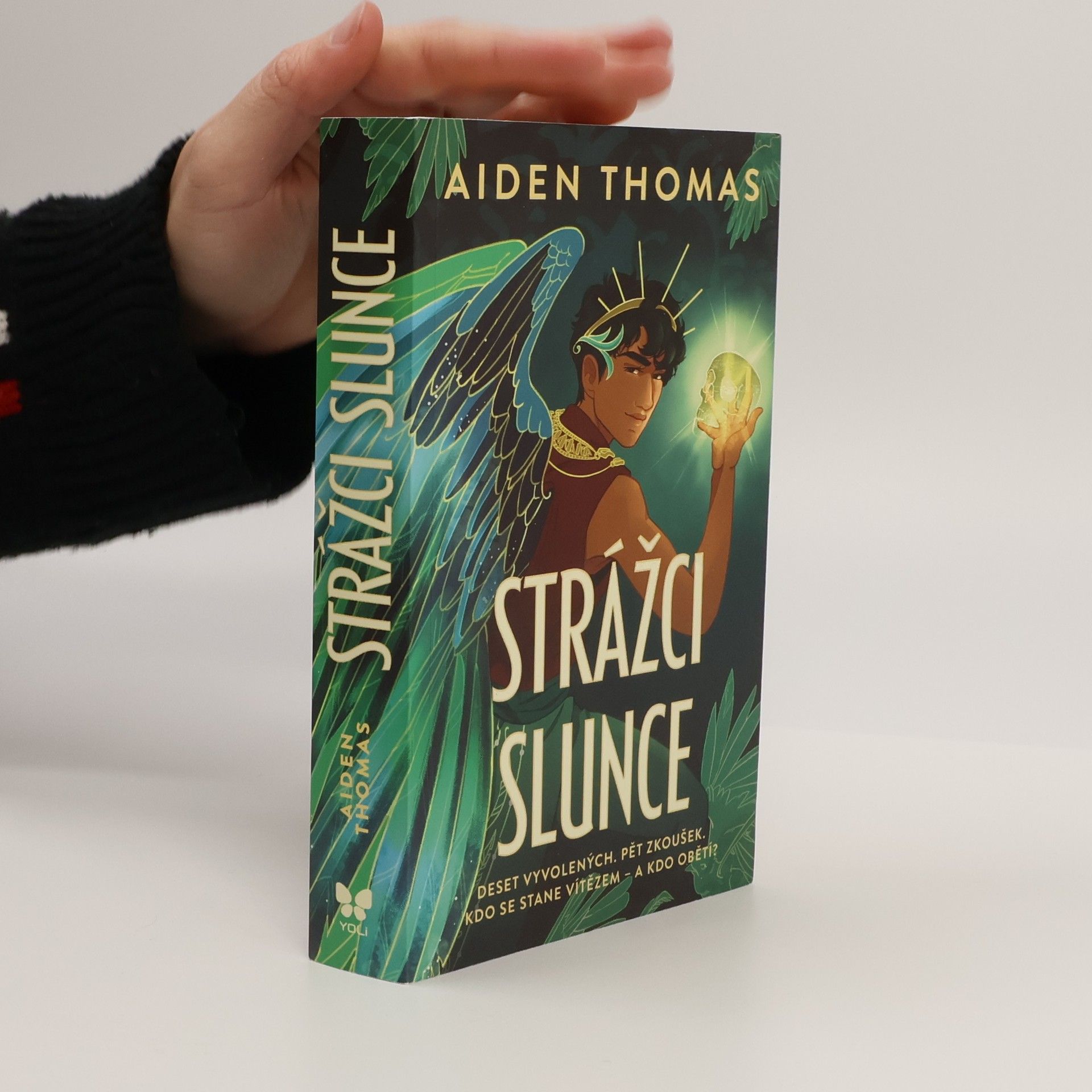 Aiden Thomas Strážci Slunce