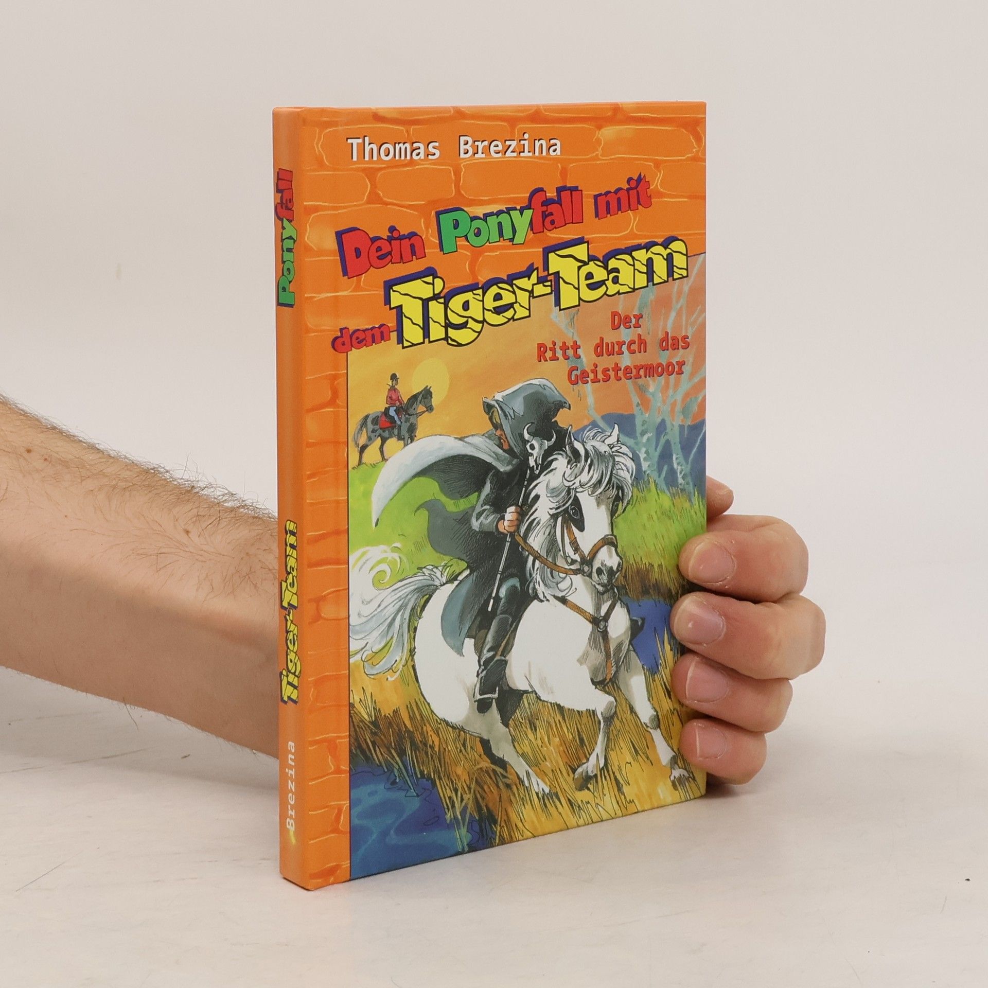 Thomas Brezina Dein Ponyfall mit dem Tiger-Team: Der Ritt durch das Geistermoor