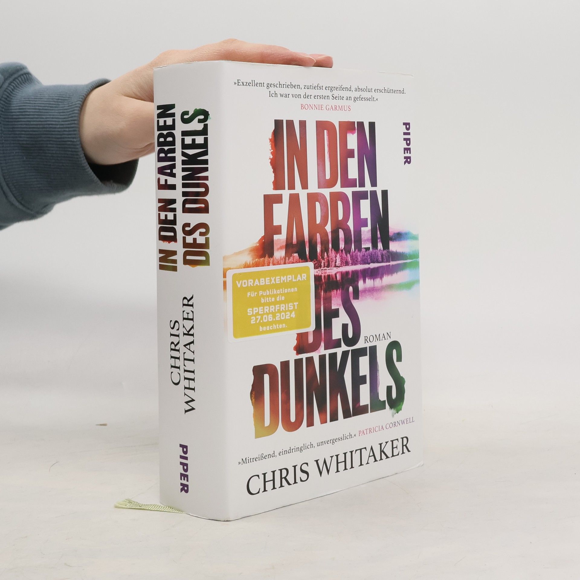 Chris Whitaker In den Farben des Dunkels