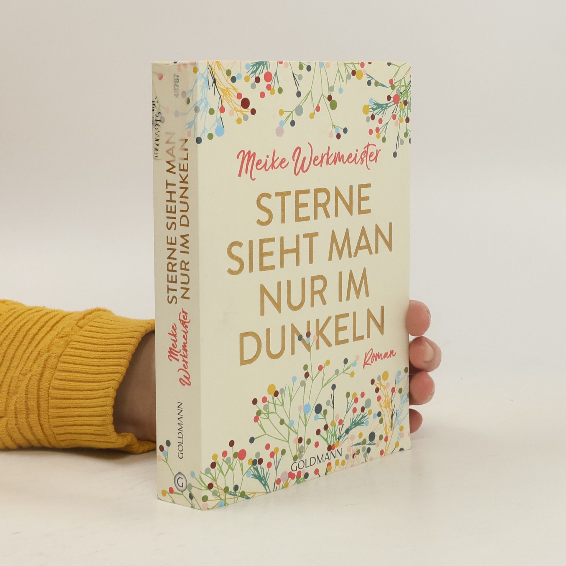 Meike Werkmeister Sterne sieht man nur im Dunkeln