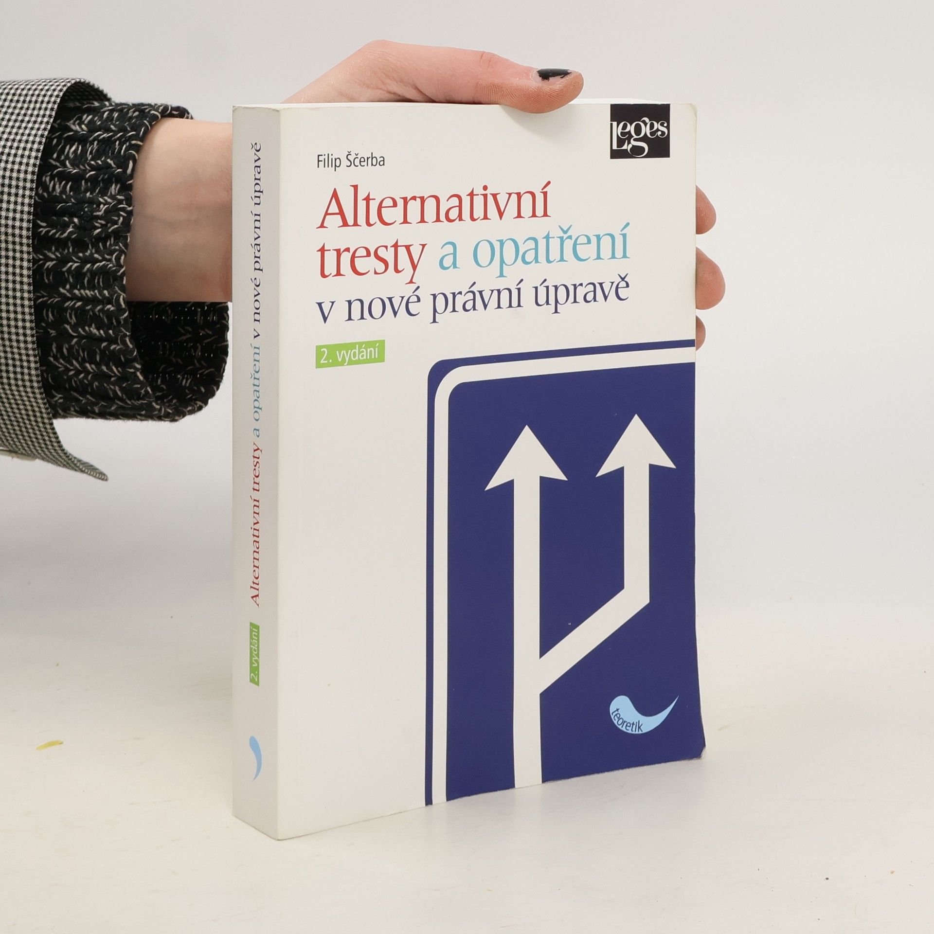 Alternativní tresty a opatření v nové právní úpravě